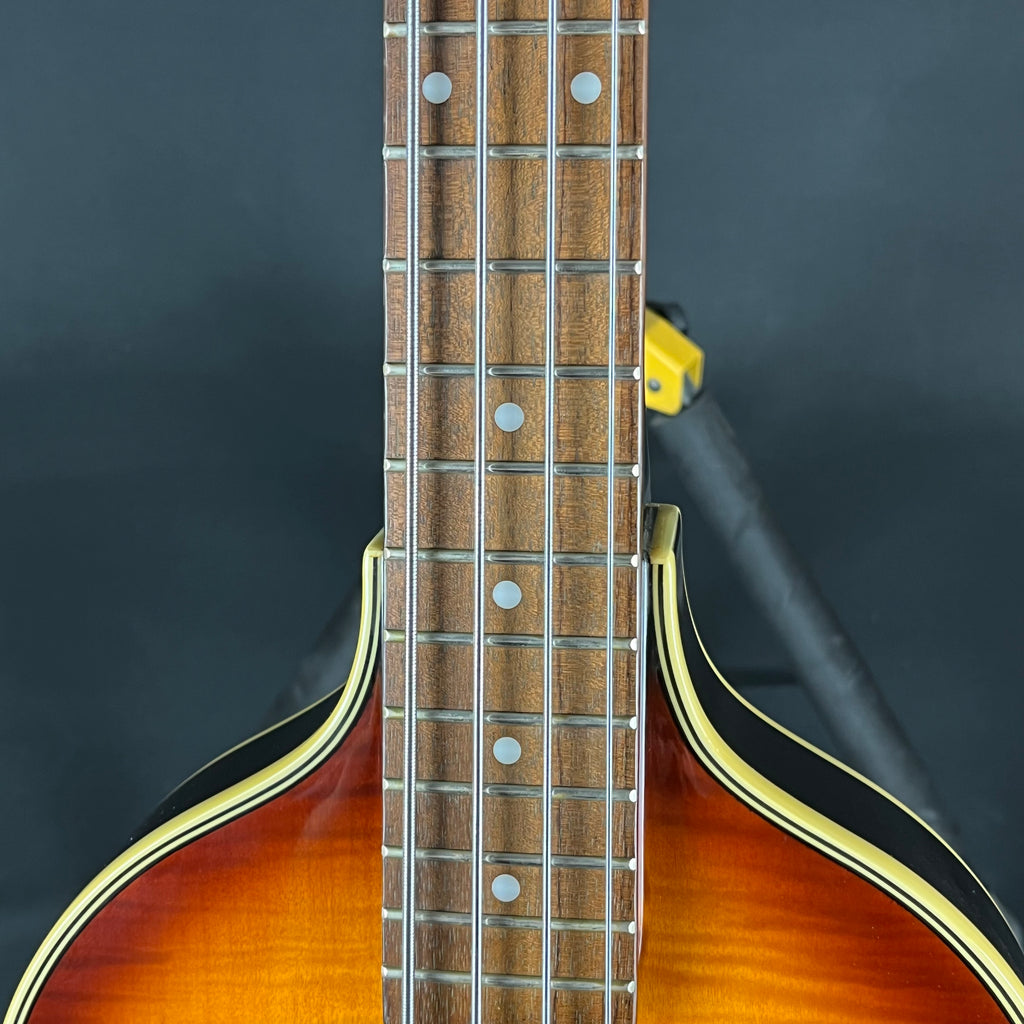 Epiphone Korea Viola Bass