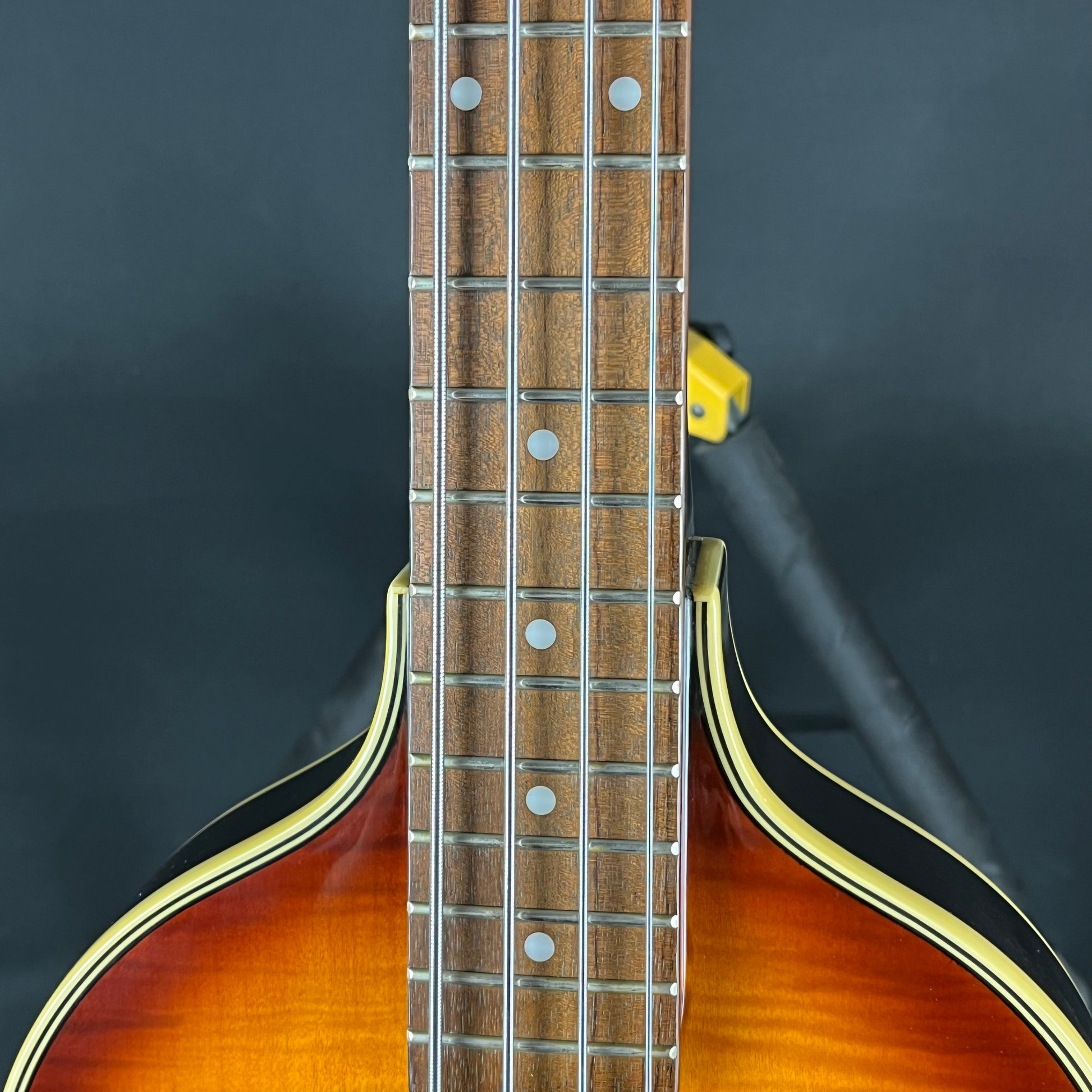 Epiphone Korea Viola Bass