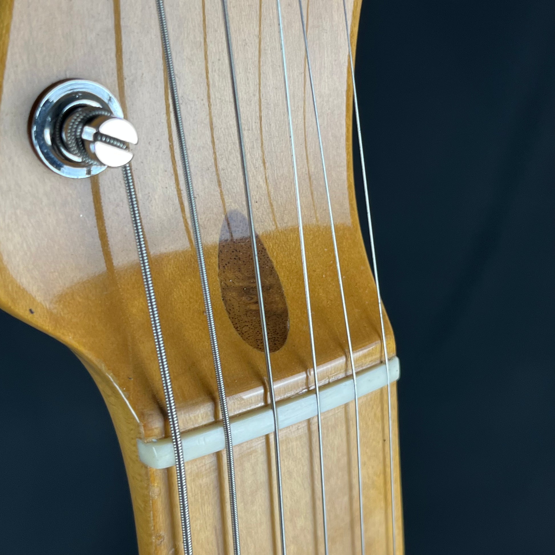 Fender Mexico Classic 69 Telecaster Thinline