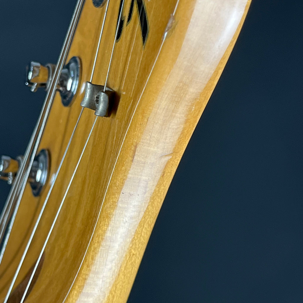 Fender Mexico Classic 69 Telecaster Thinline