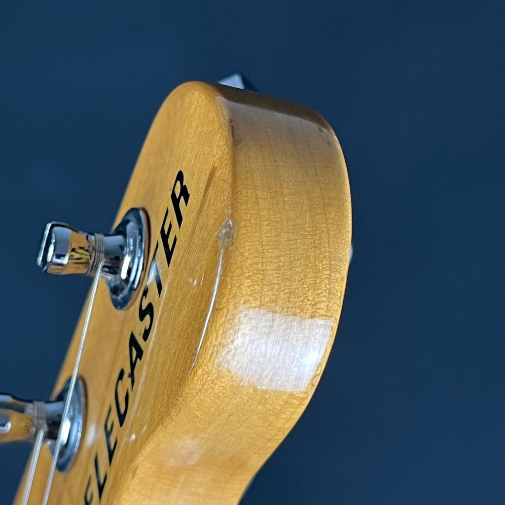 Fender Mexico Classic 69 Telecaster Thinline