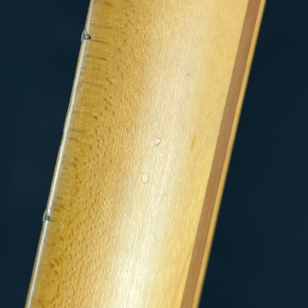 Fender Mexico Classic 69 Telecaster Thinline