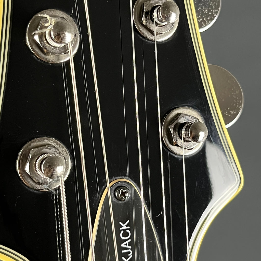 Schecter Diamond Series Blackjack