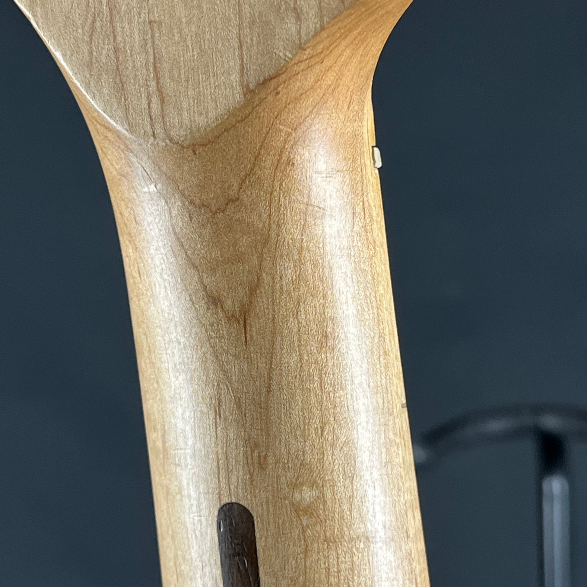 Squier California Series Stratocaster