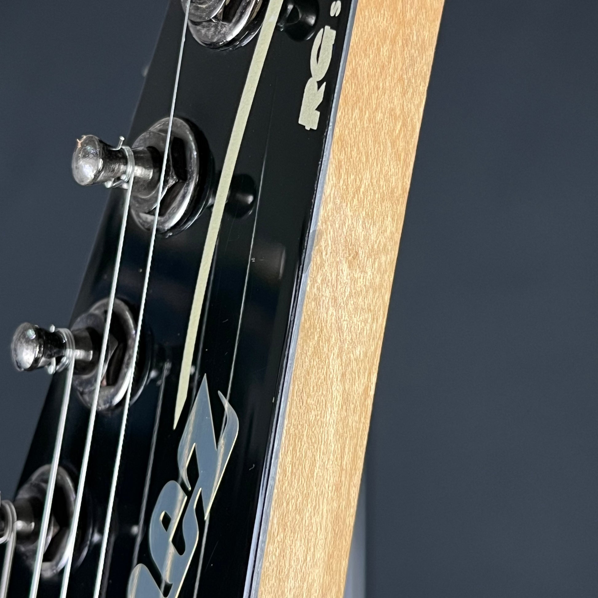Ibanez RGA7