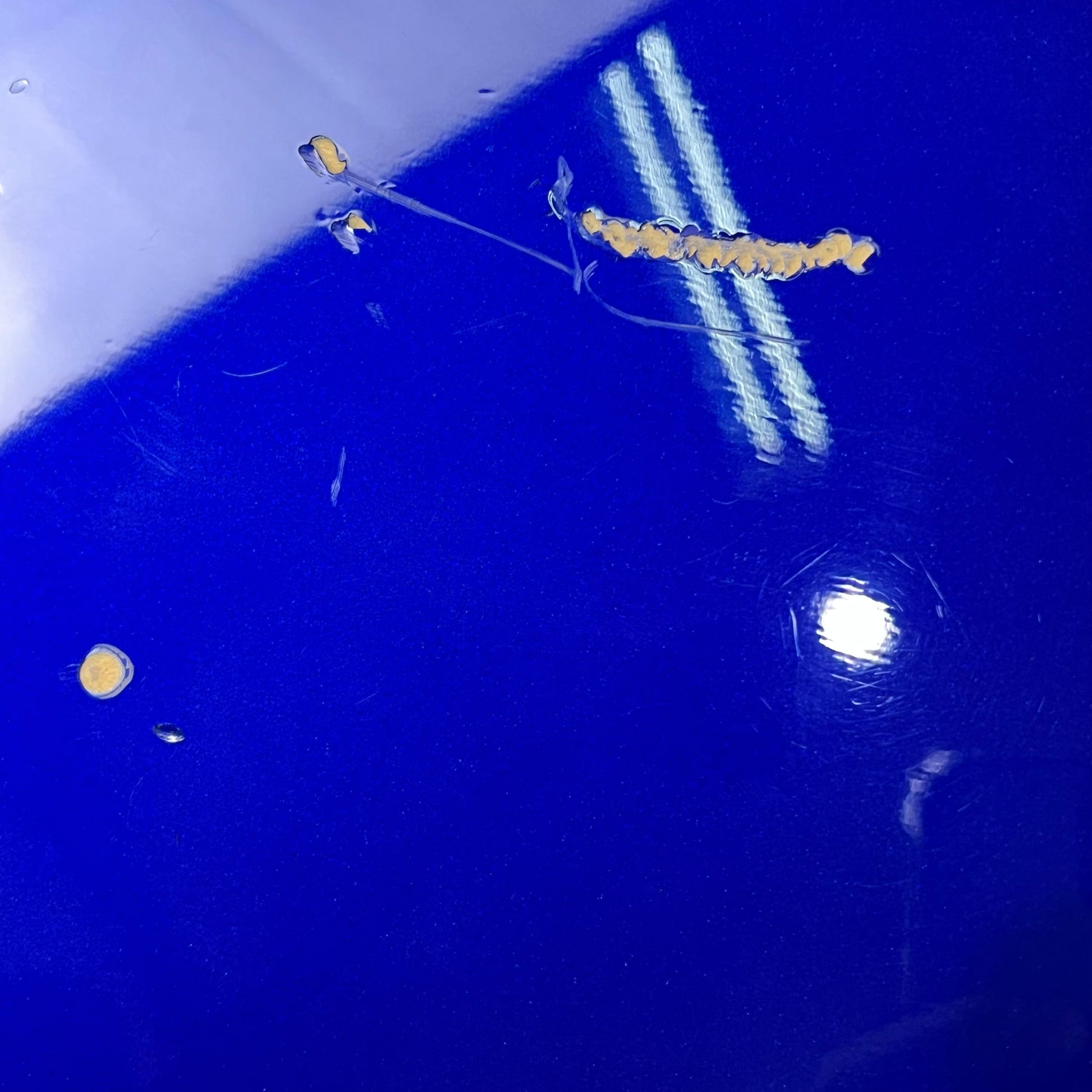 Squier Affinity Jazz Bass