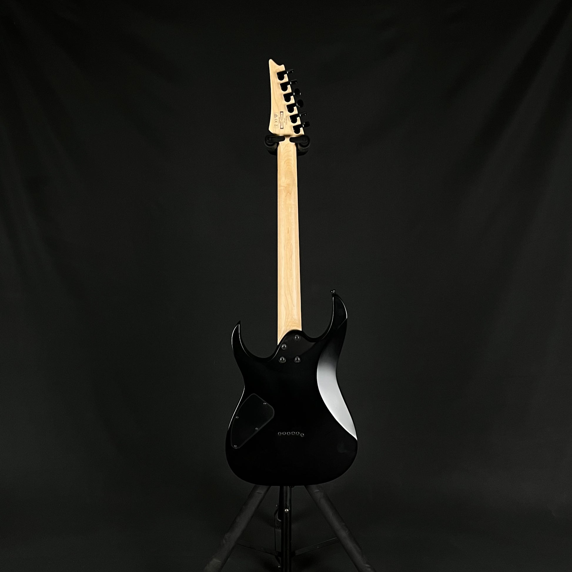 Ibanez RG421EX