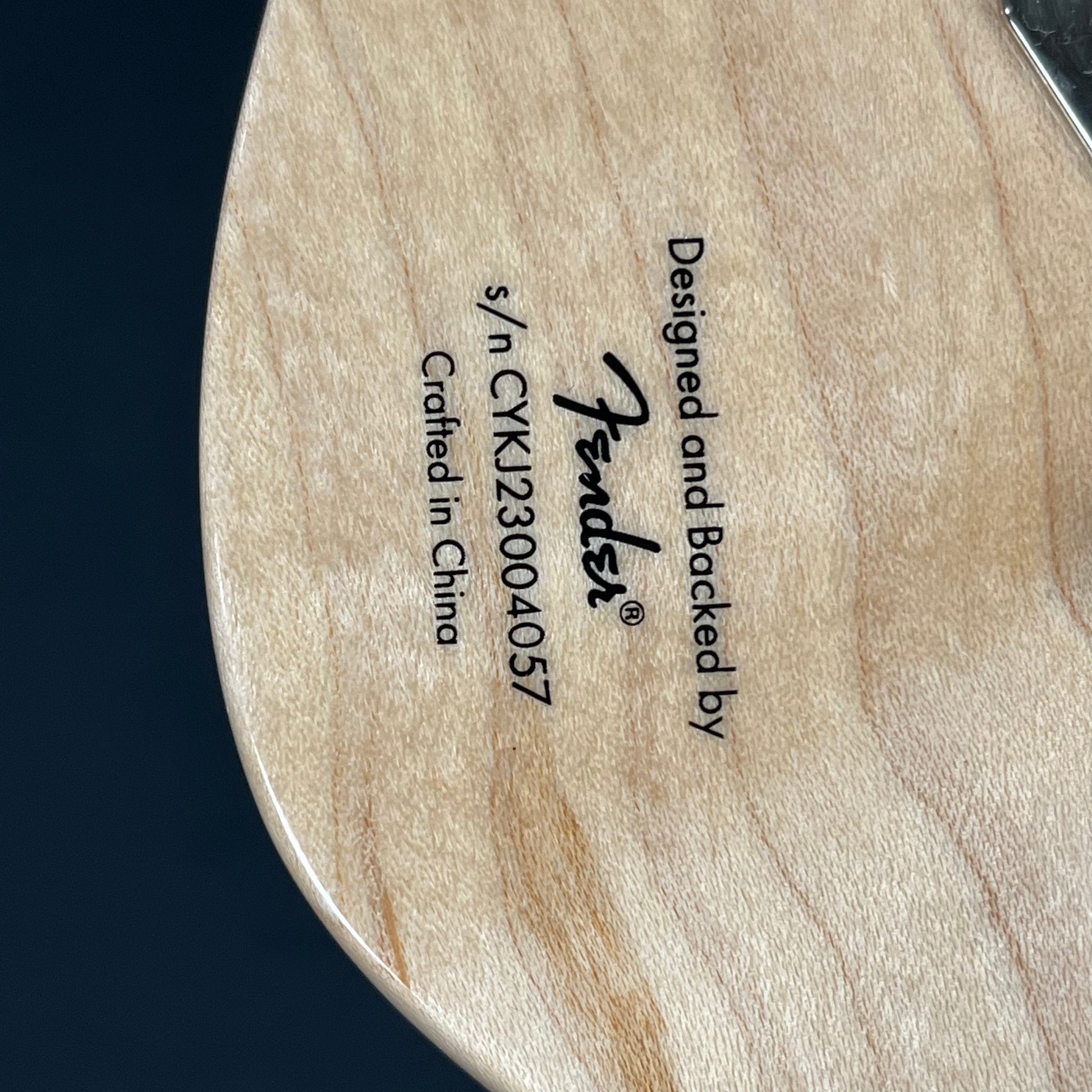 Squier Paranormal Rascal Bass HH