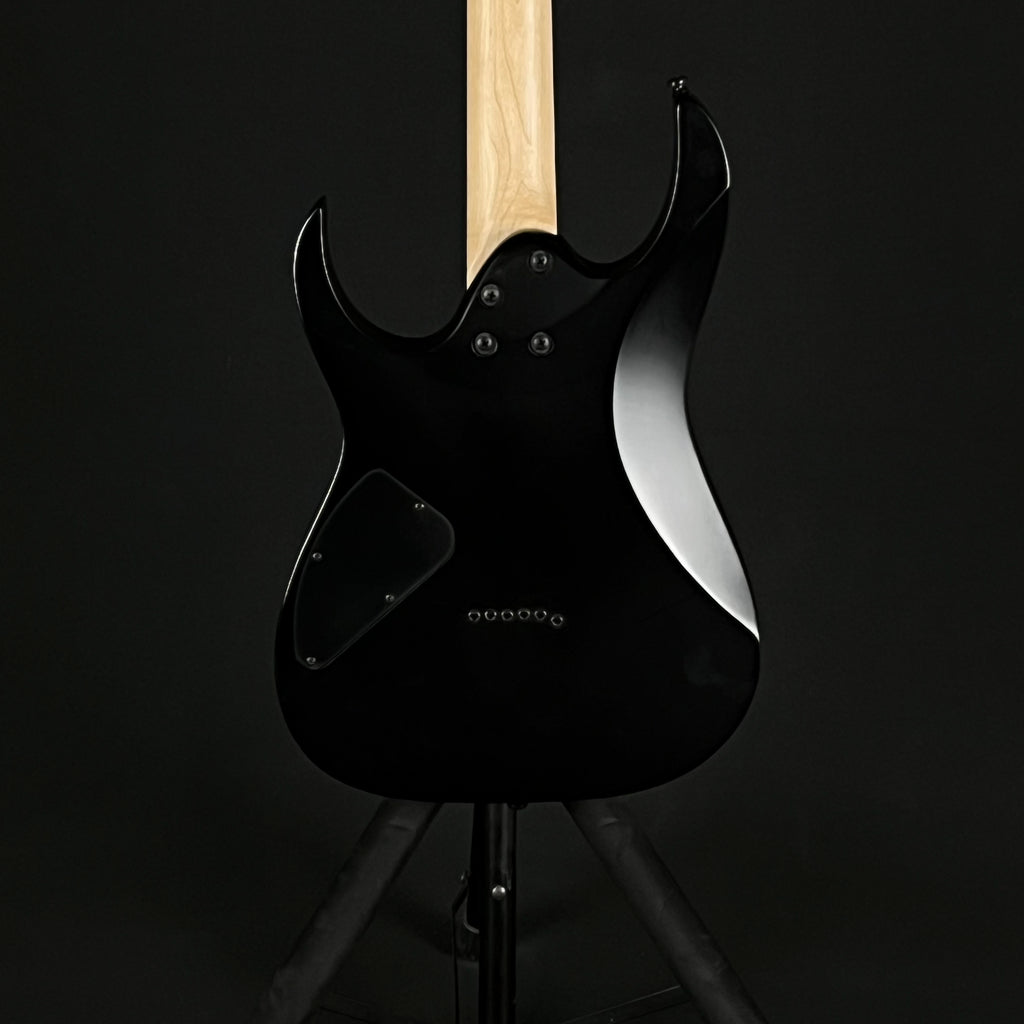 Ibanez RG421EX