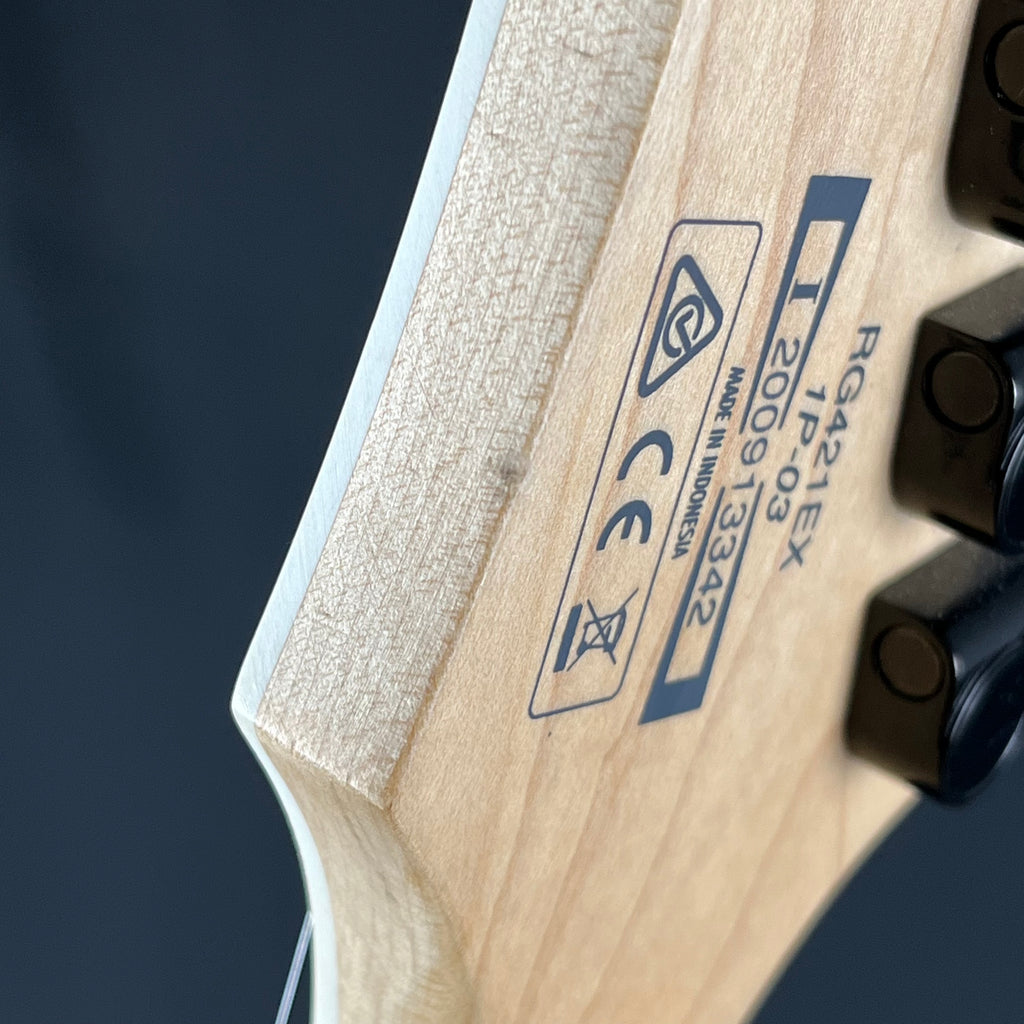 Ibanez RG421EX