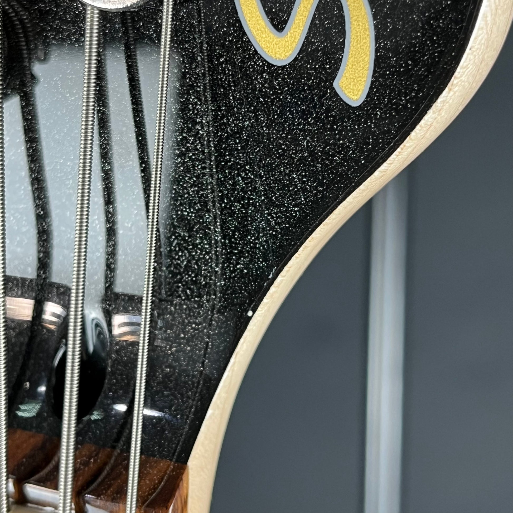 Squier Paranormal Rascal Bass HH