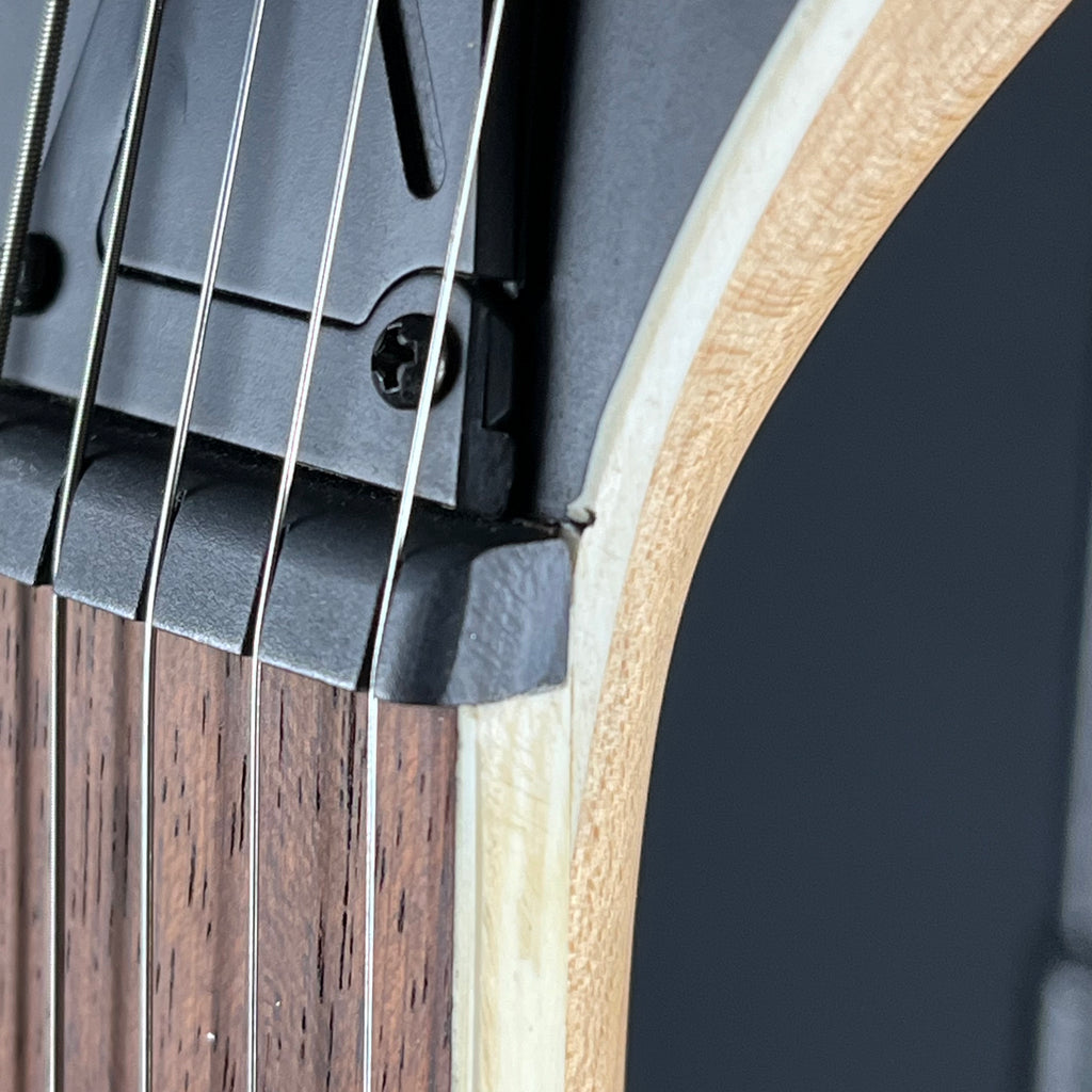 Ibanez RG421EX