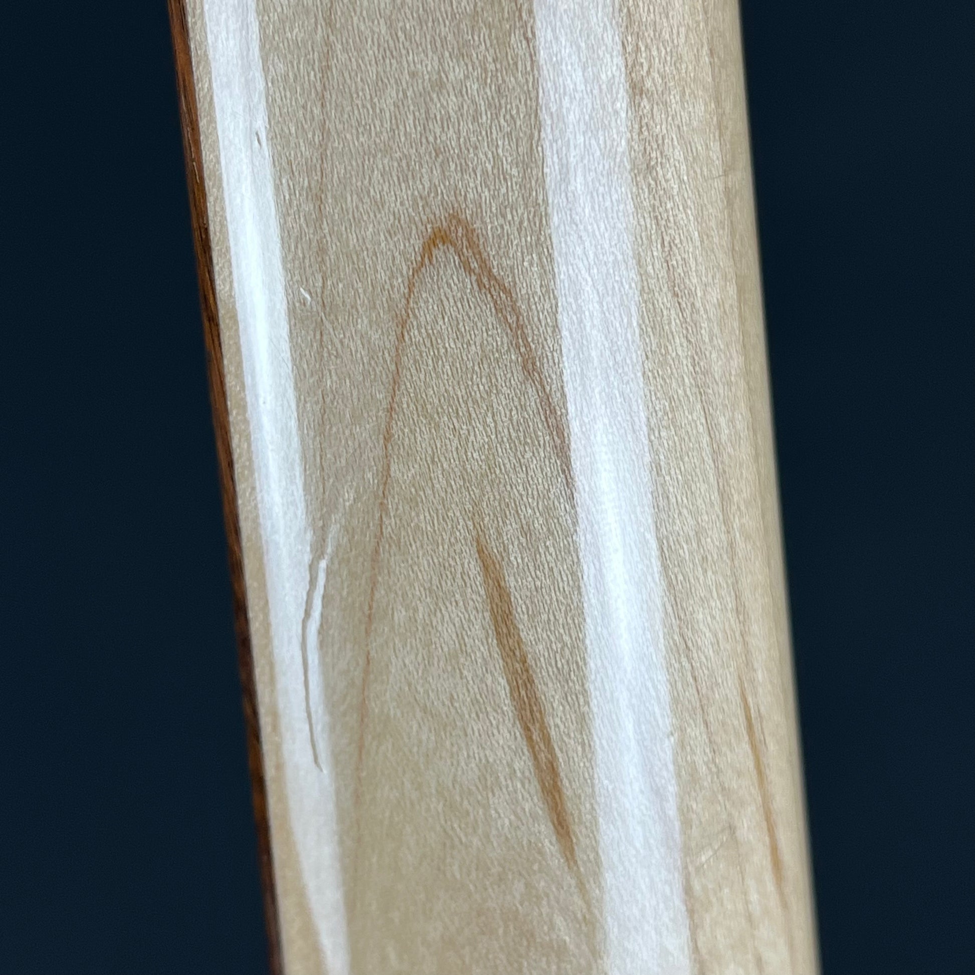 Squier Paranormal Rascal Bass HH