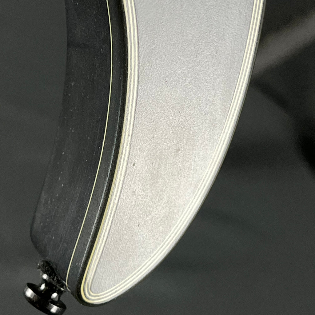 Ibanez RG421EX