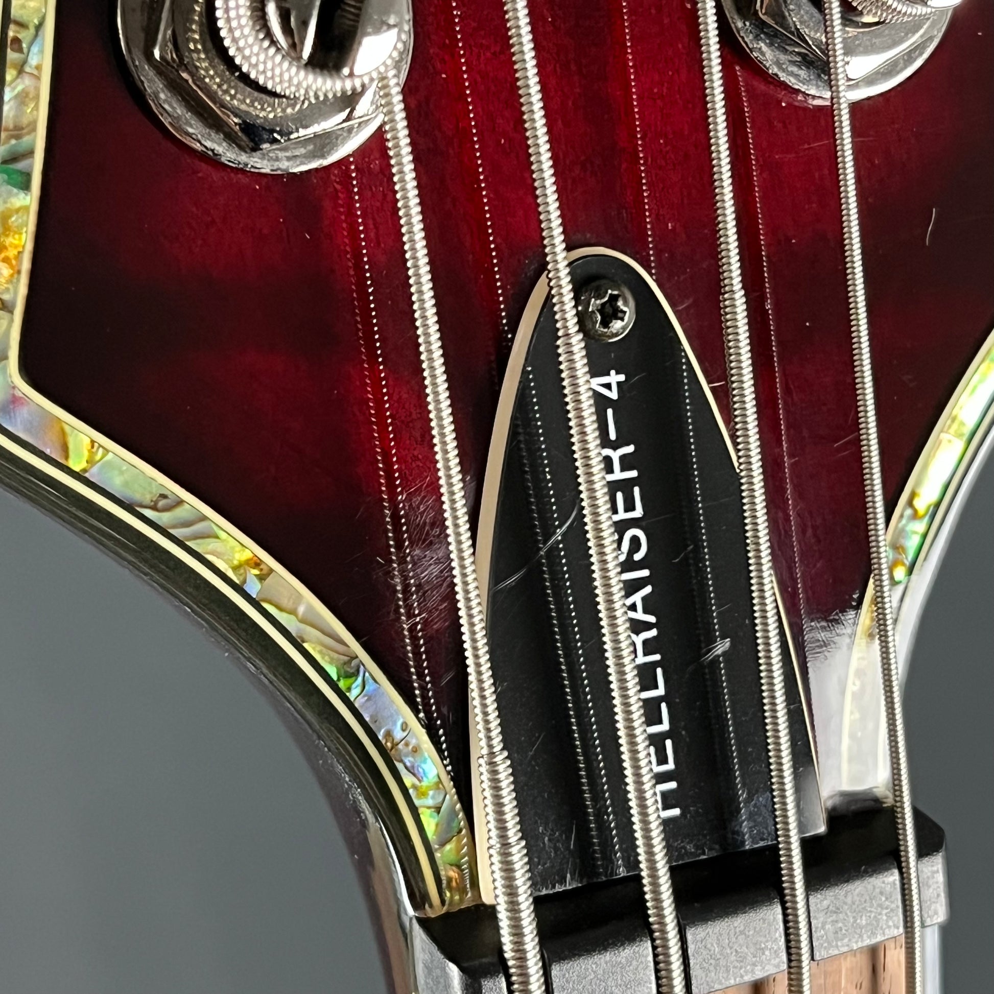 Schecter Diamond HELLRAISER-4