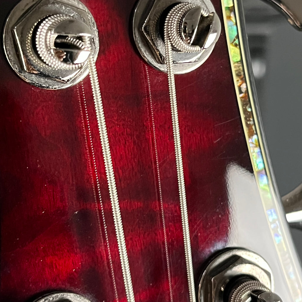 Schecter Diamond HELLRAISER-4