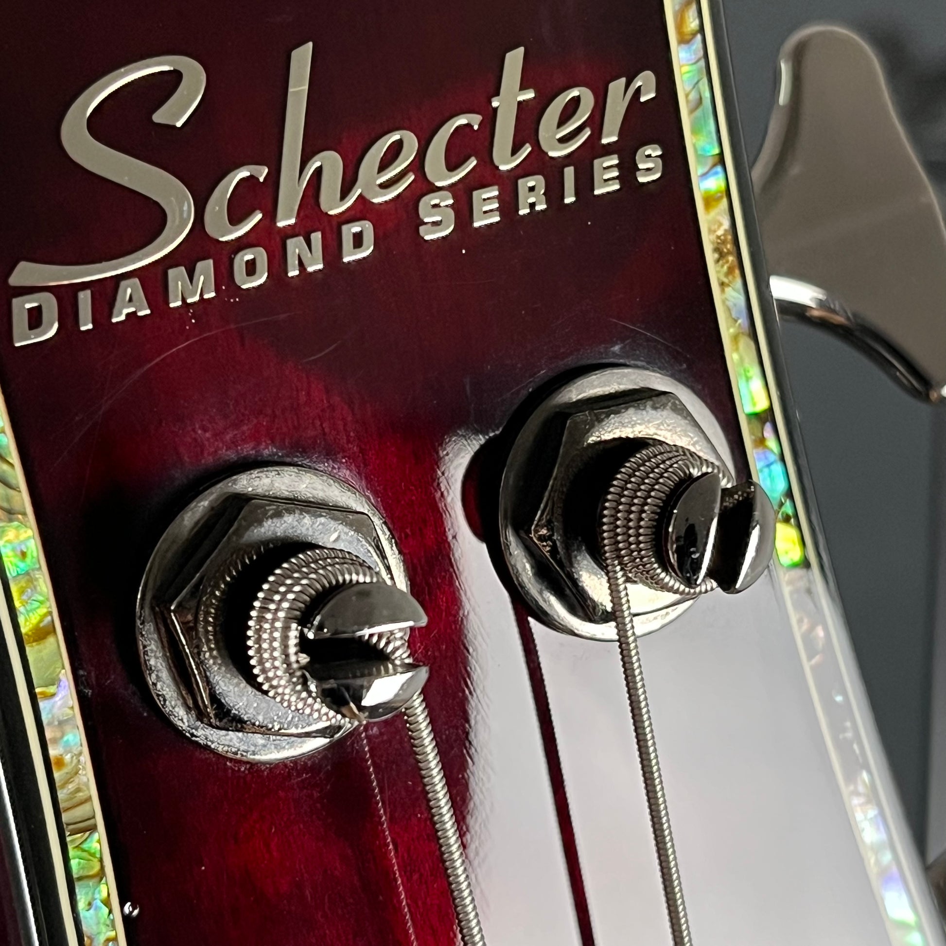 Schecter Diamond HELLRAISER-4