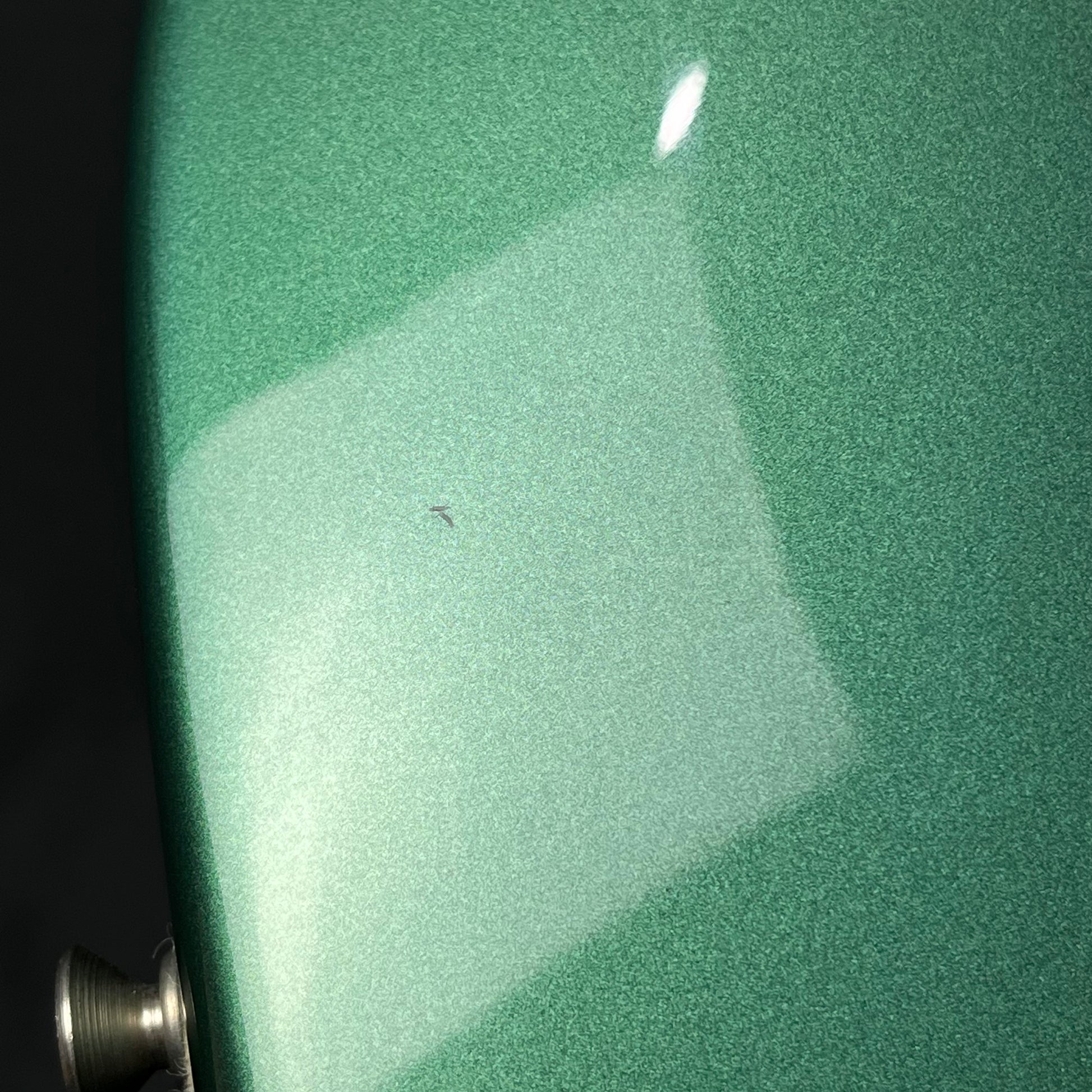 Fender LTD Player Stratocaster Sherwood Green Metallic