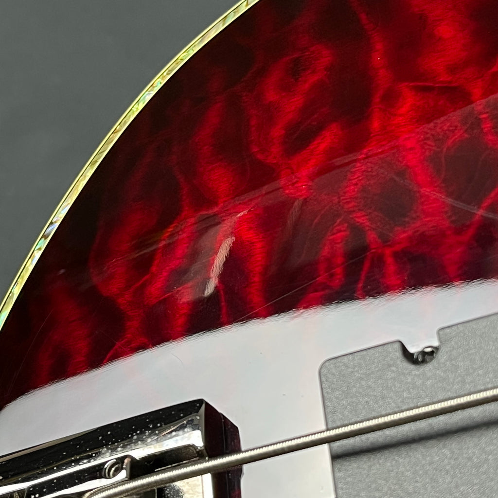 Schecter Diamond HELLRAISER-4