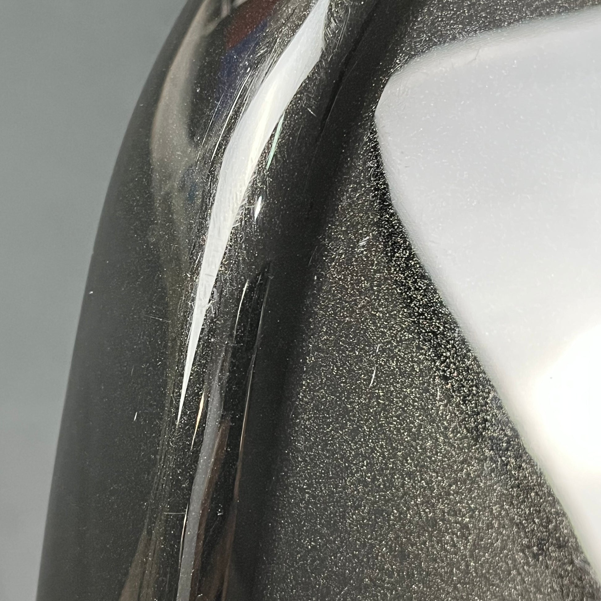 Squier Paranormal Rascal Bass HH