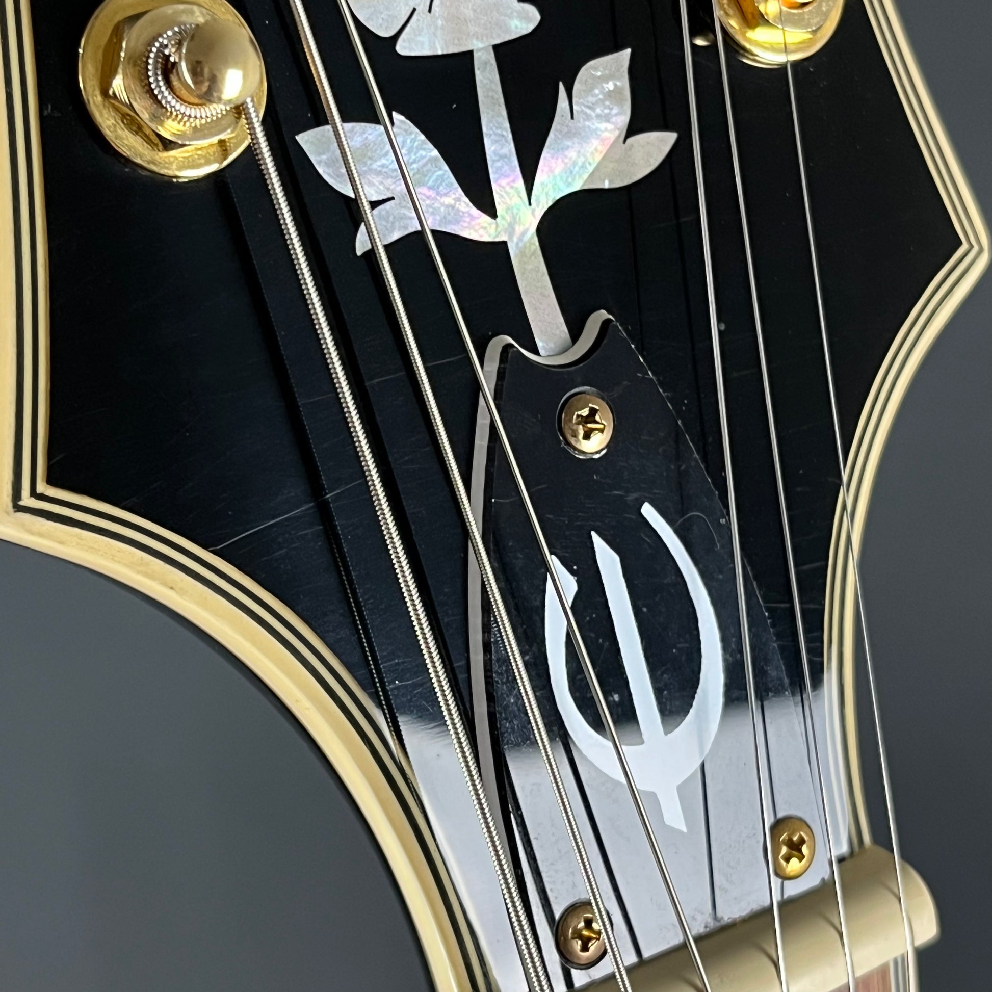 Epiphone SHERATON Pro II 2022