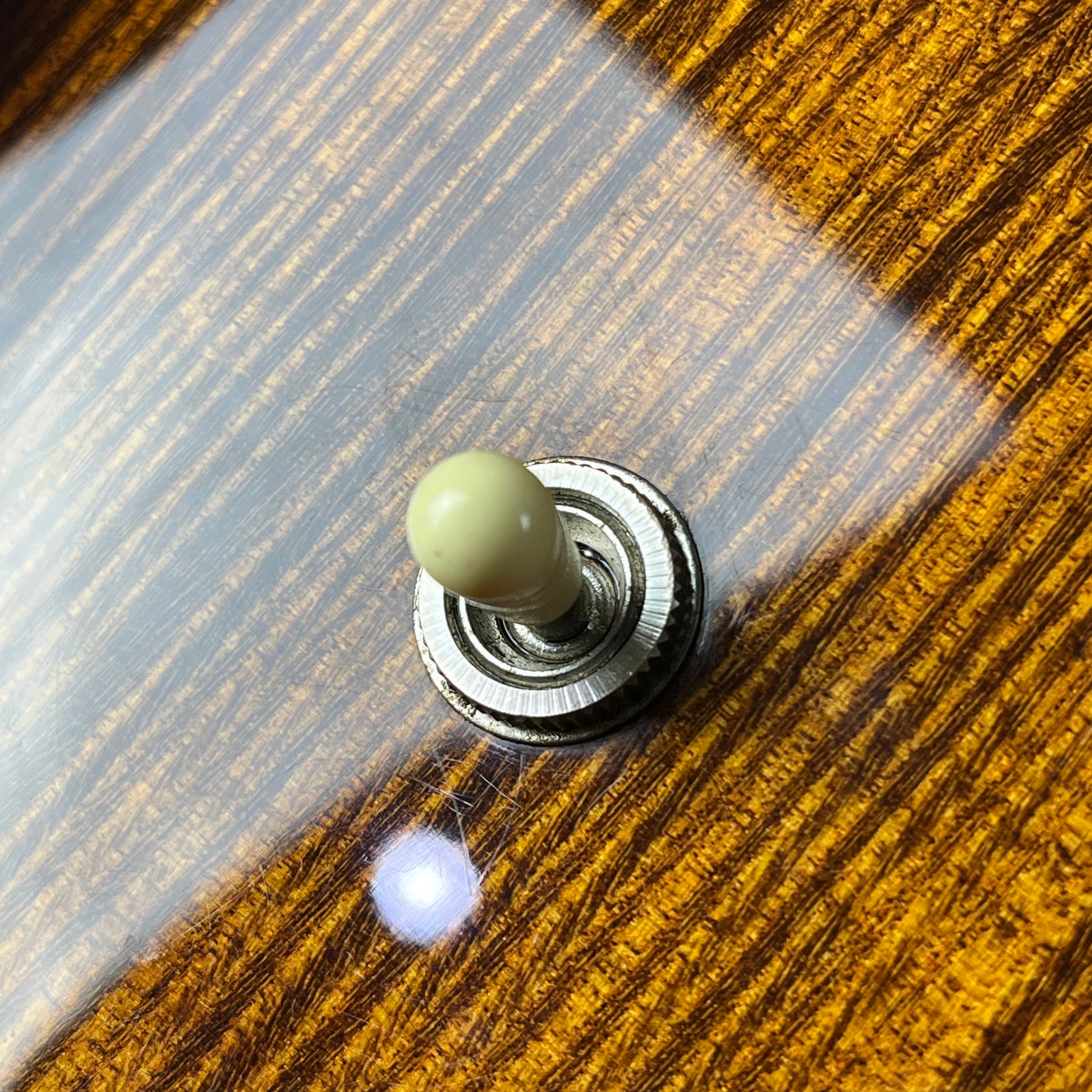 PRS SE Paul's Guitar 2021