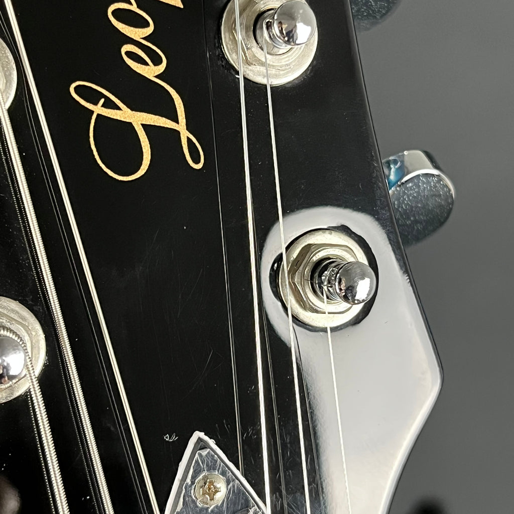 Blitz by Aria Pro II BLP-SPL/DC