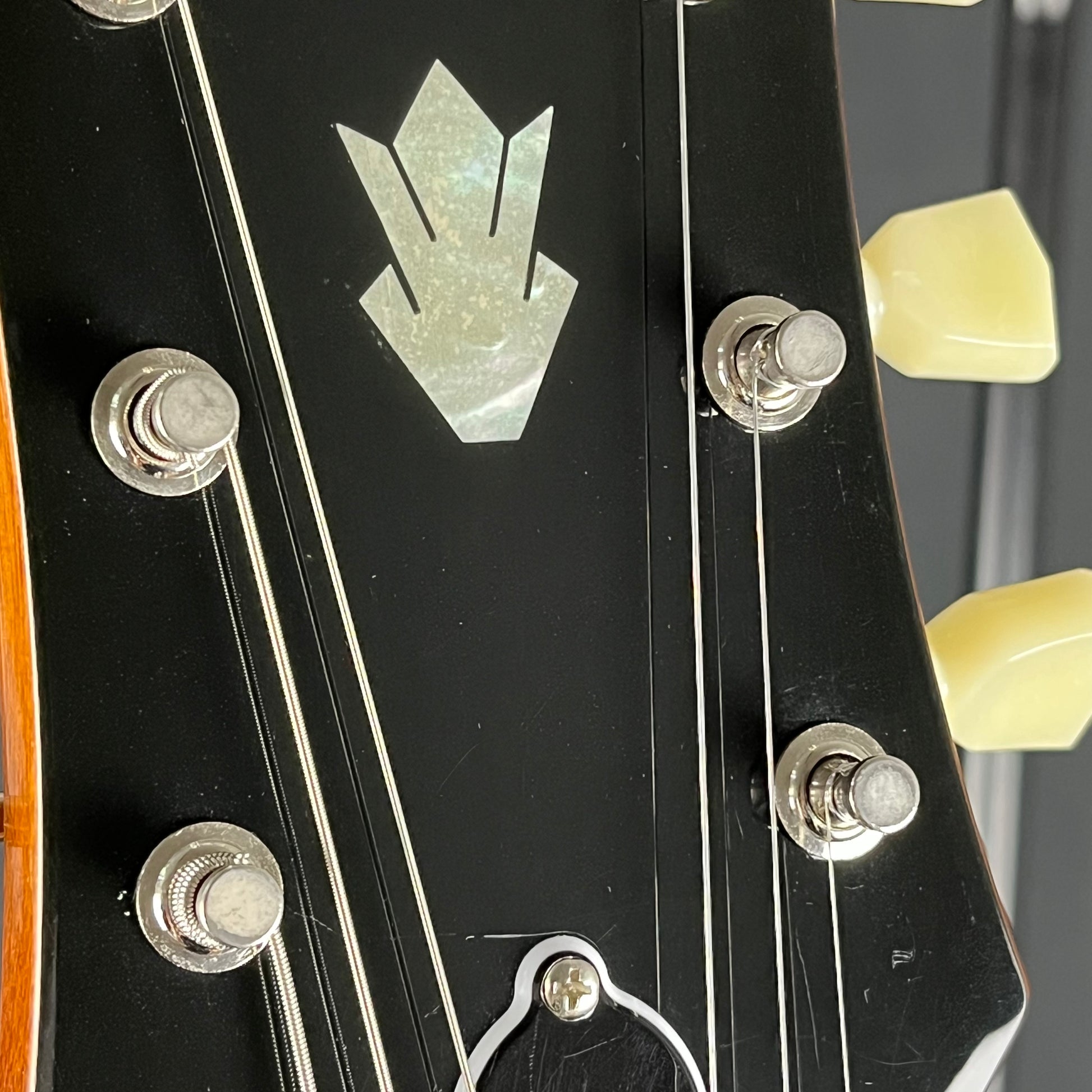 Epiphone ES-335 IG 2024