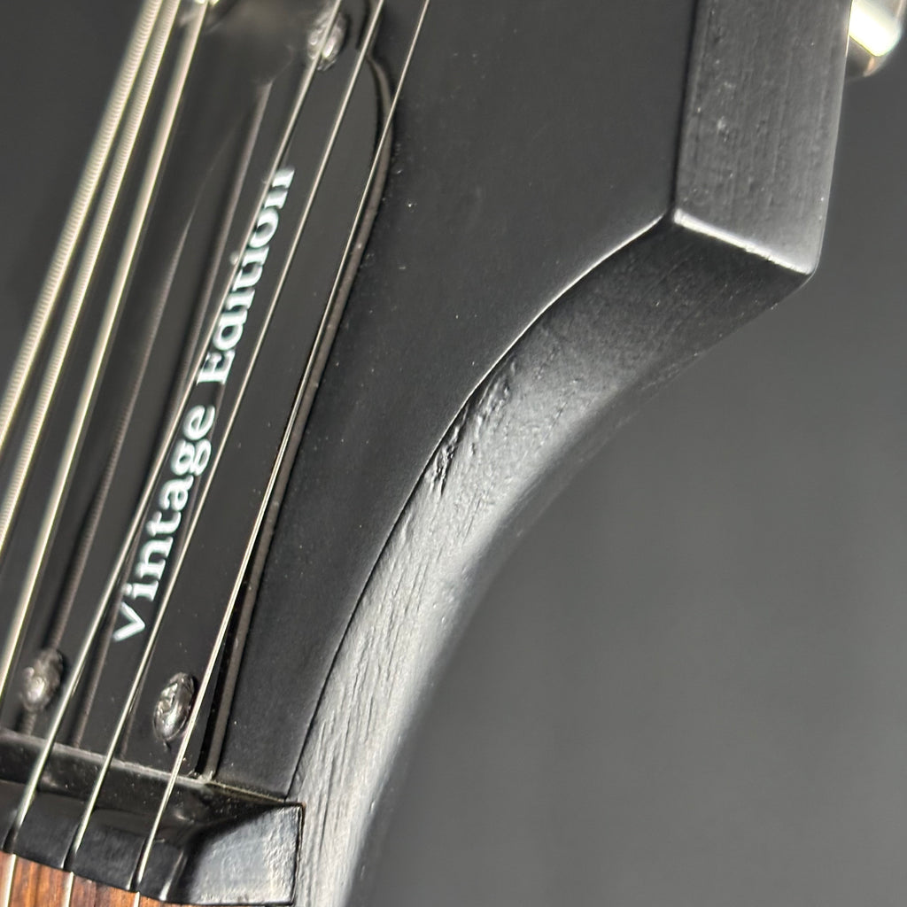 Epiphone Les Paul Special VE