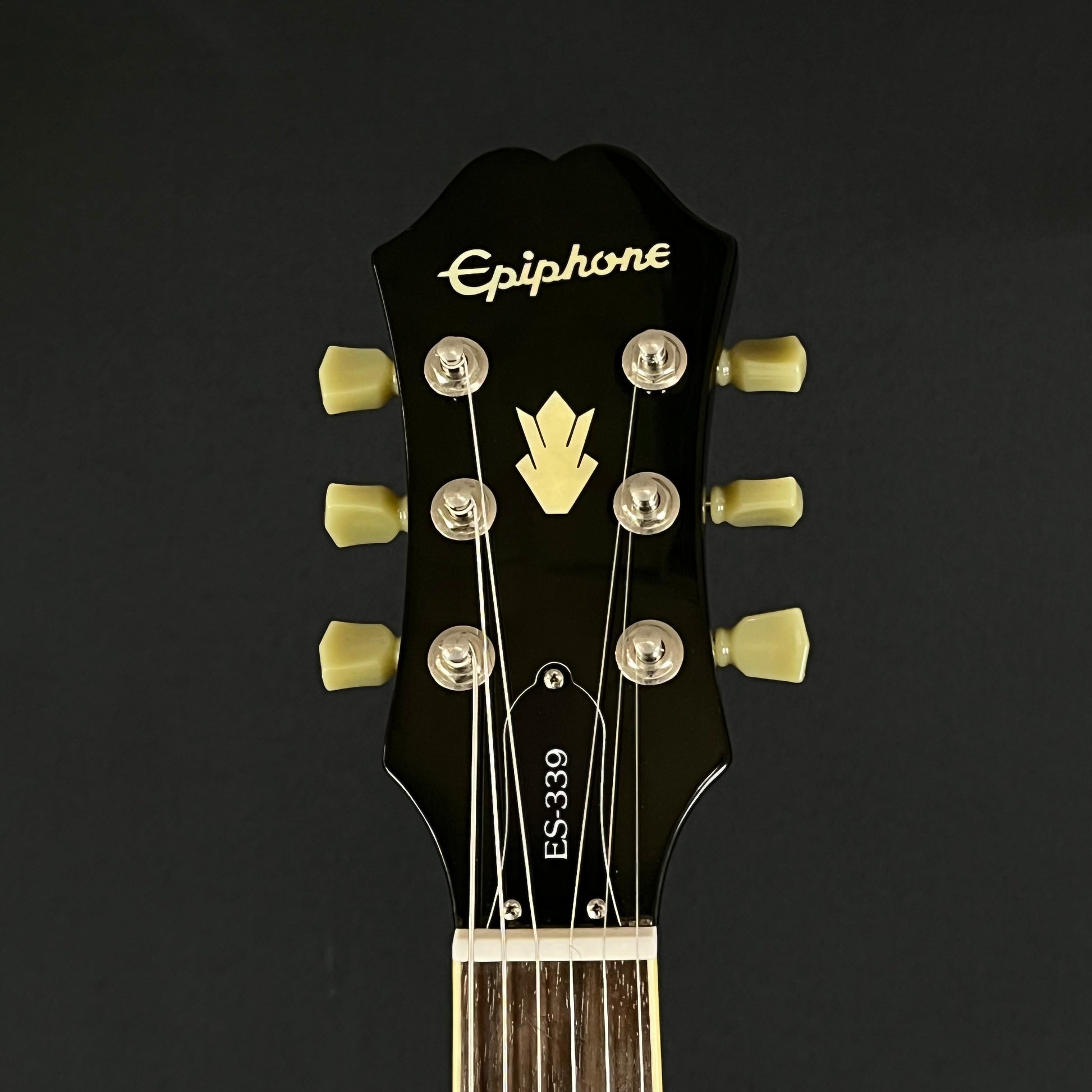 Epiphone Dot ES 339 EB 2014