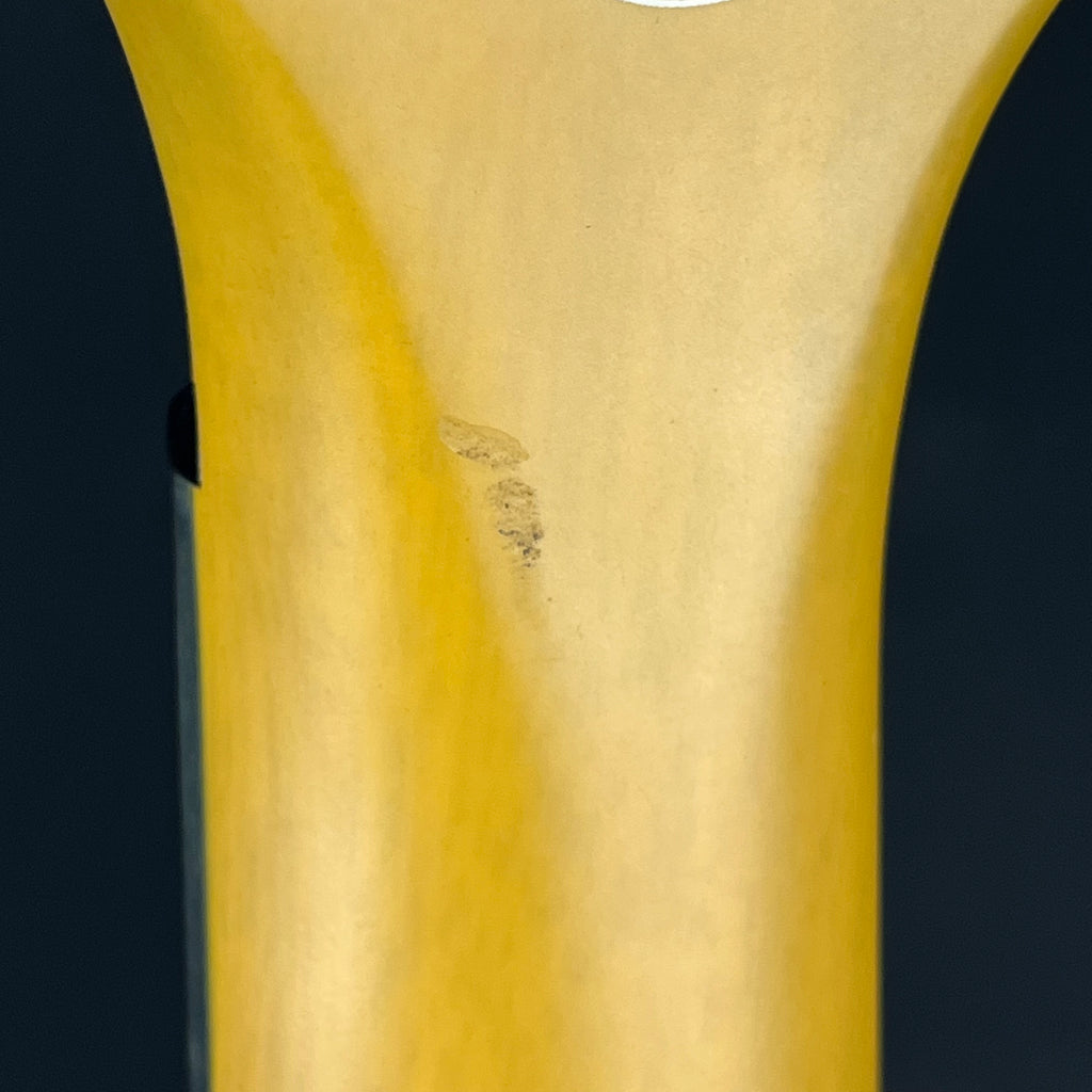Epiphone SG Junior