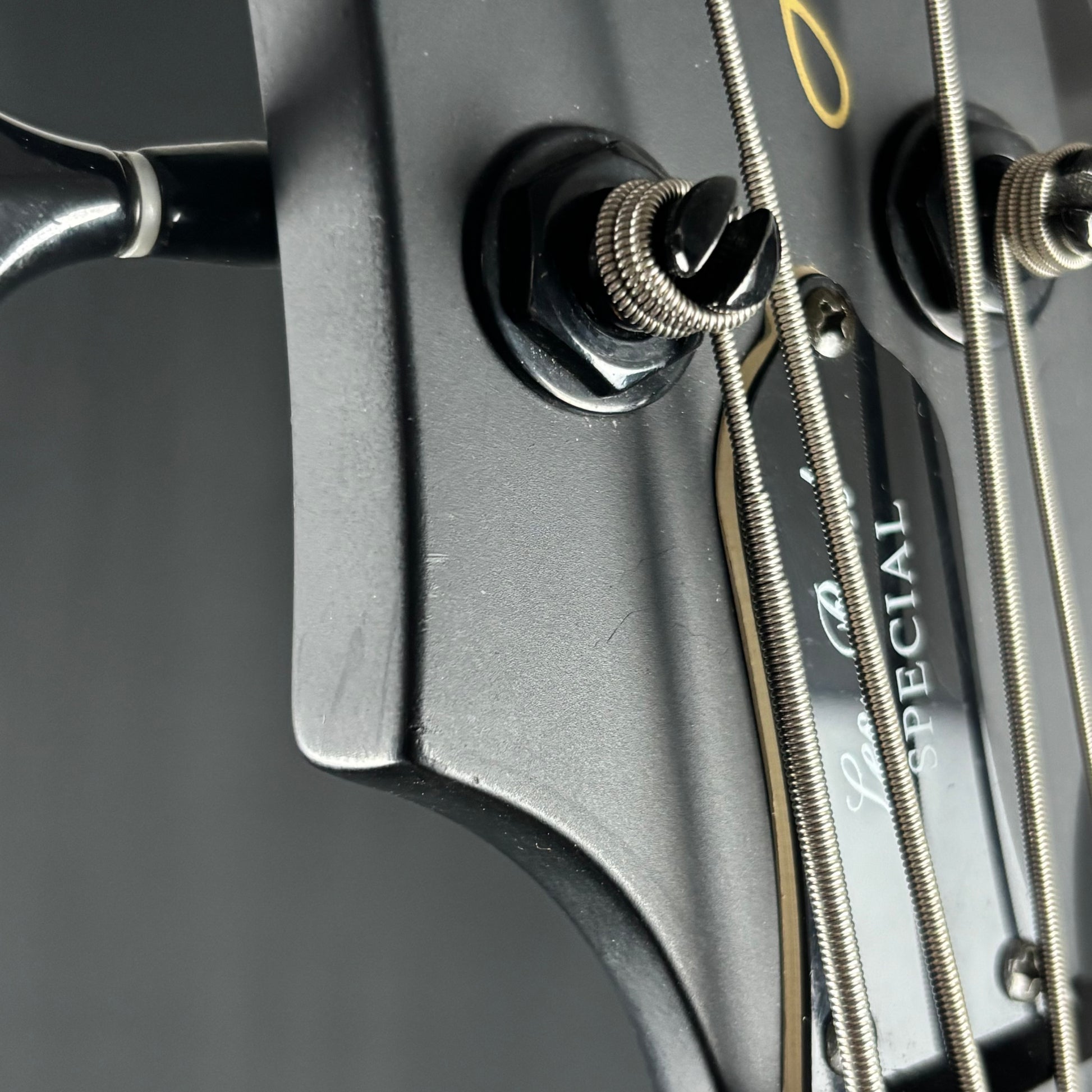 Epiphone Les Paul Special Bass