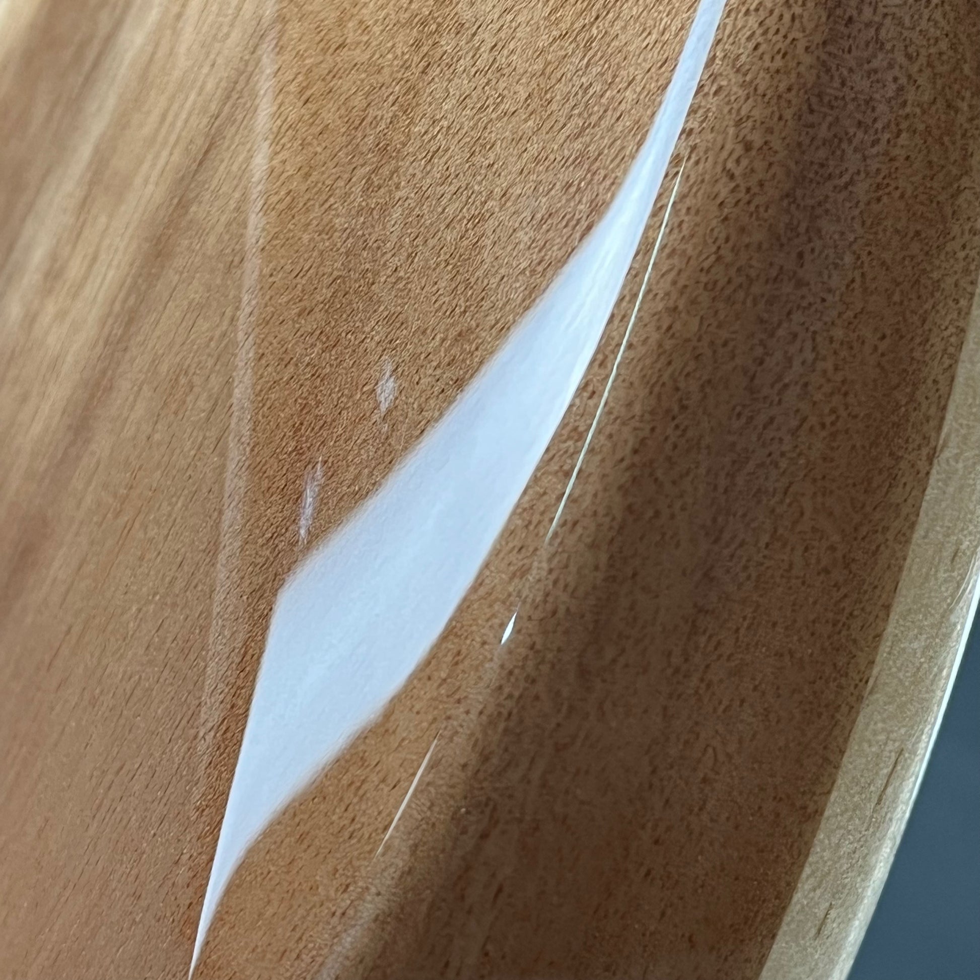 PRS SE Custom 24 2024