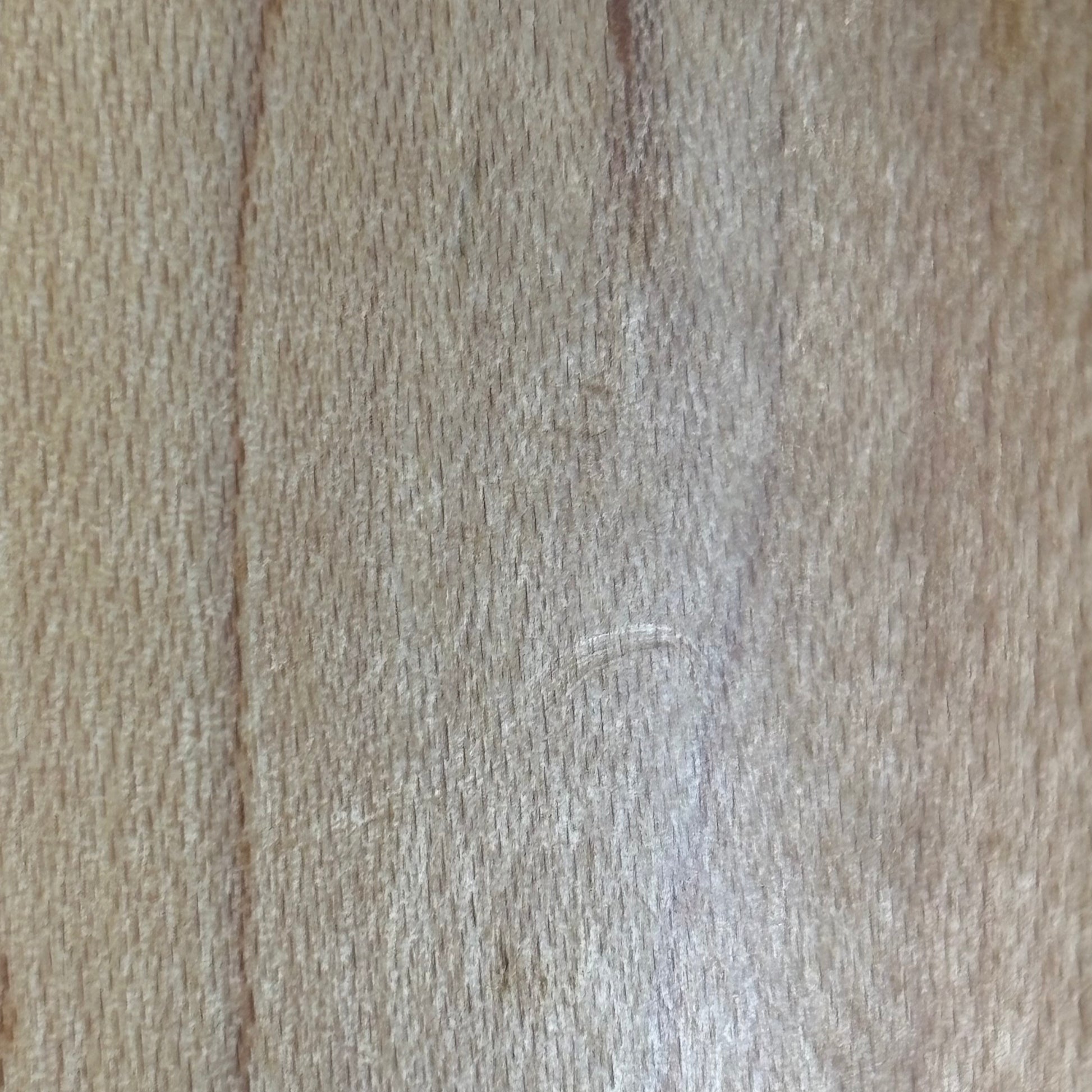 Aria Pro II Bass