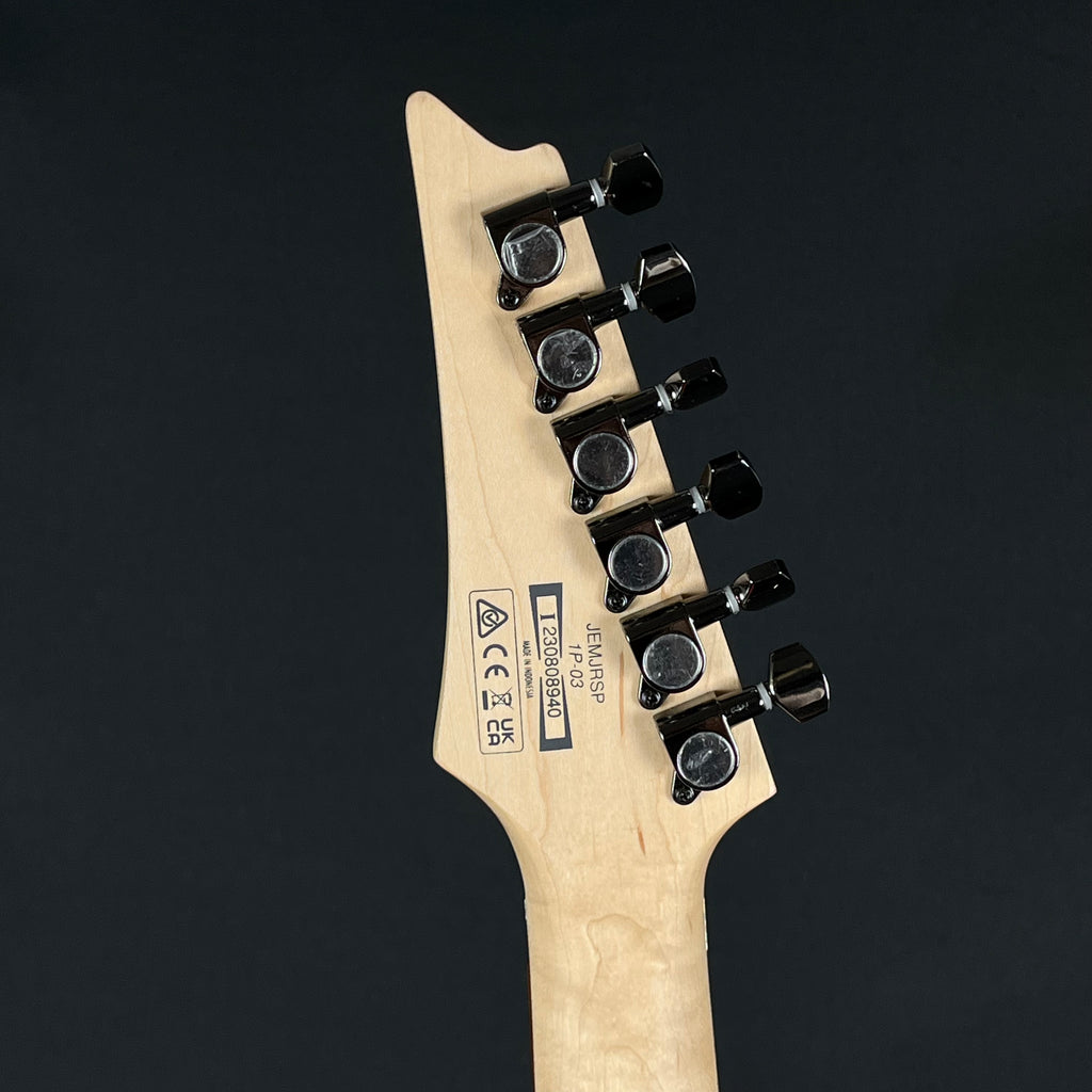 Ibanez JEMJRSP 2023