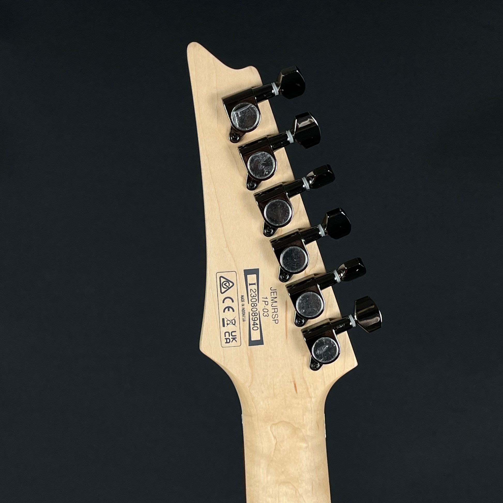 Ibanez JEMJRSP 2023