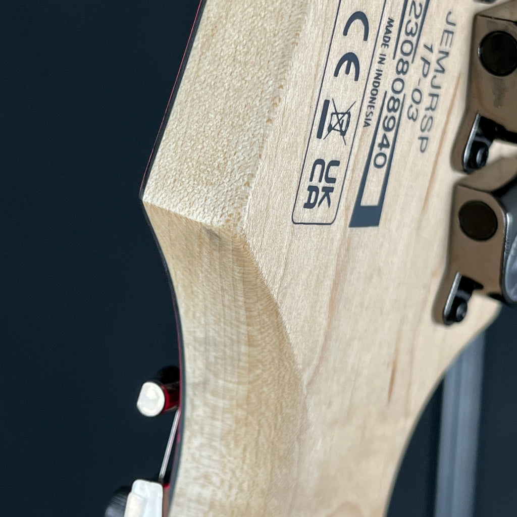 Ibanez JEMJRSP 2023