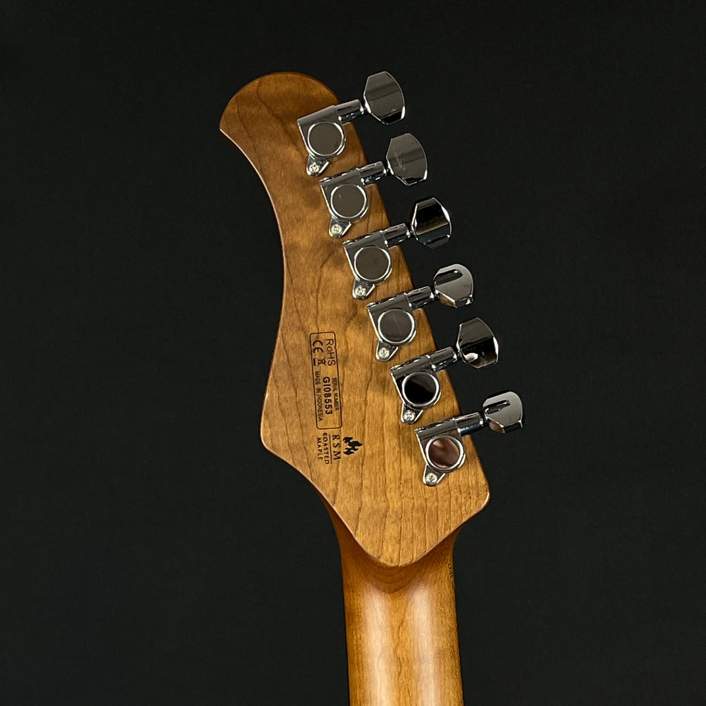 Bacchus Global Series Telecaster