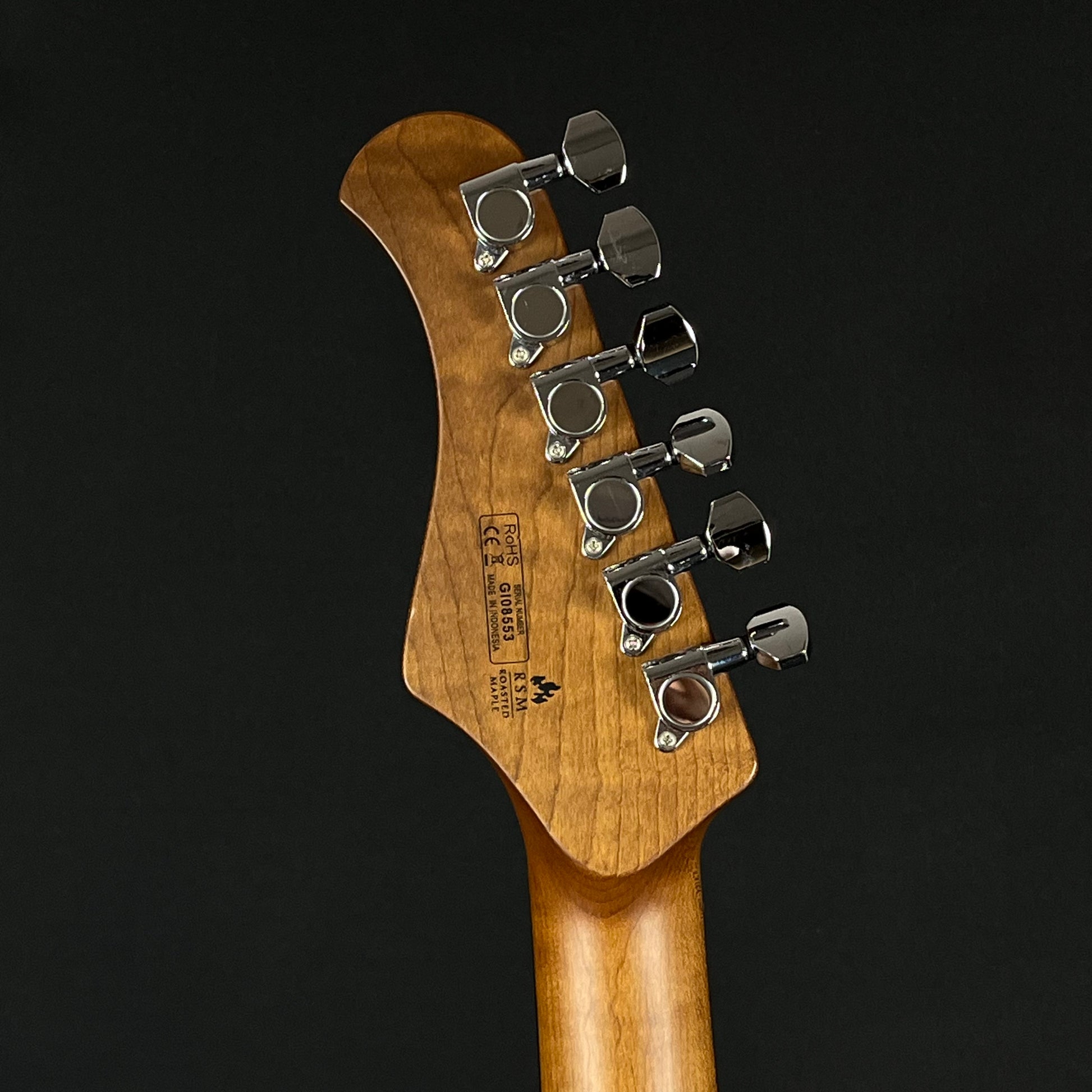 Bacchus Global Series Telecaster