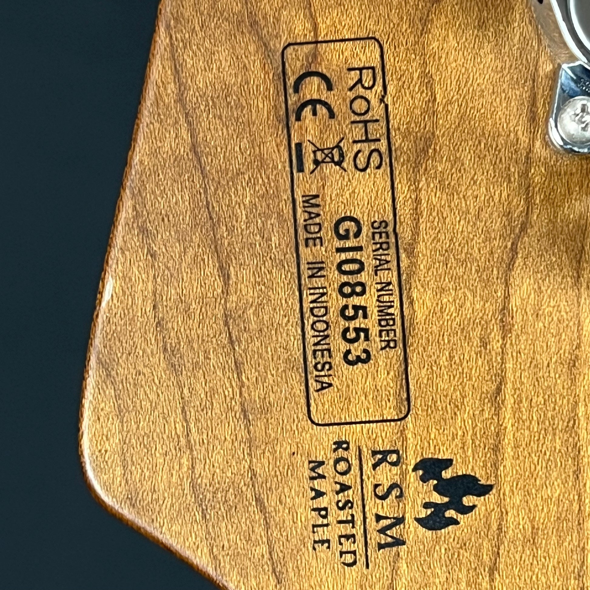 Bacchus Global Series Telecaster