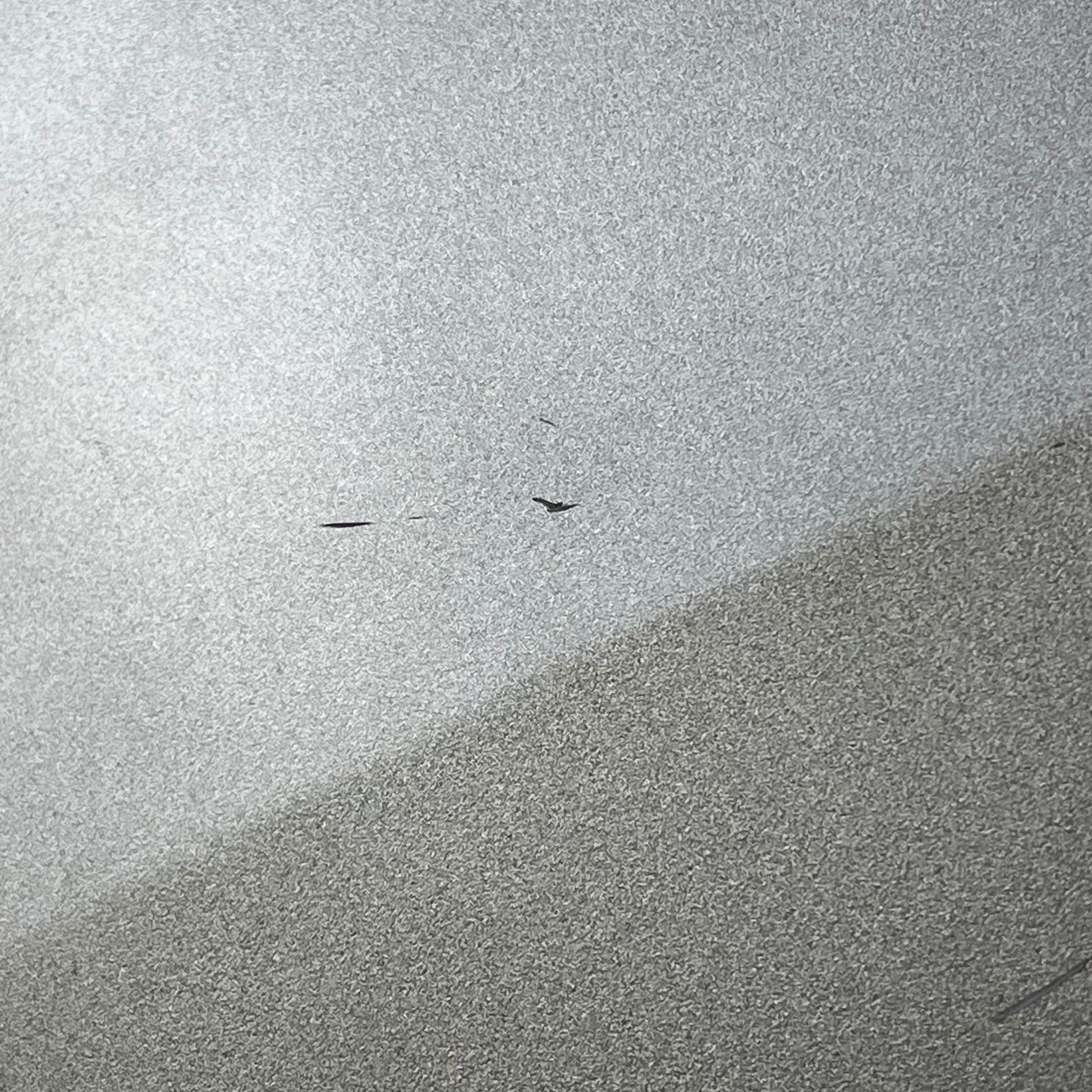 Bacchus WJB-1DX RSM/M