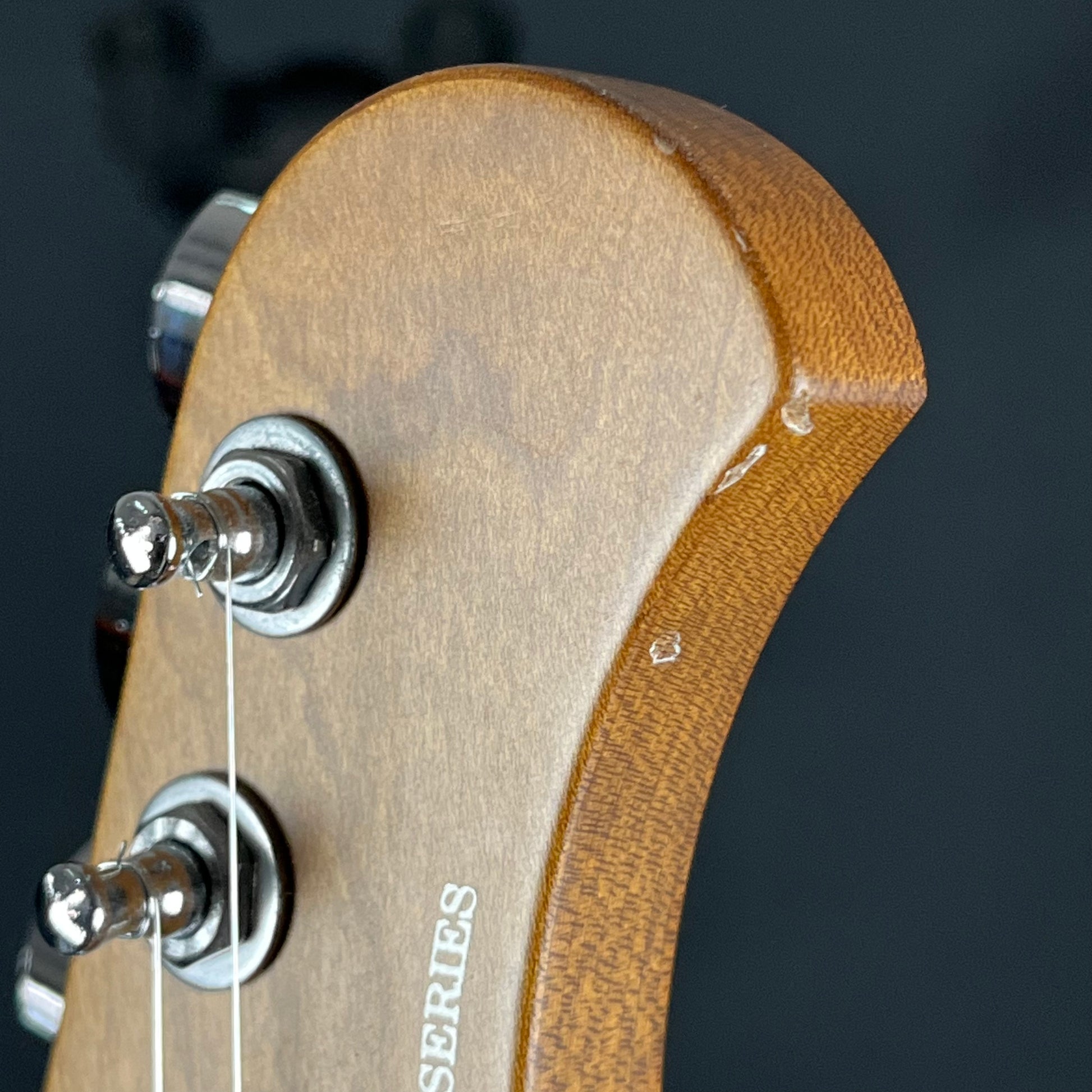Bacchus Global Series Telecaster