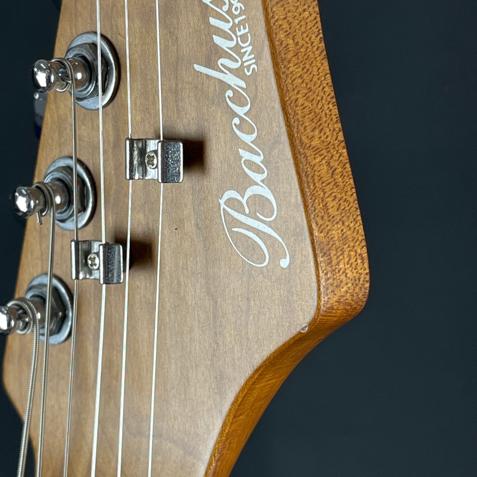 Bacchus Global Series Telecaster
