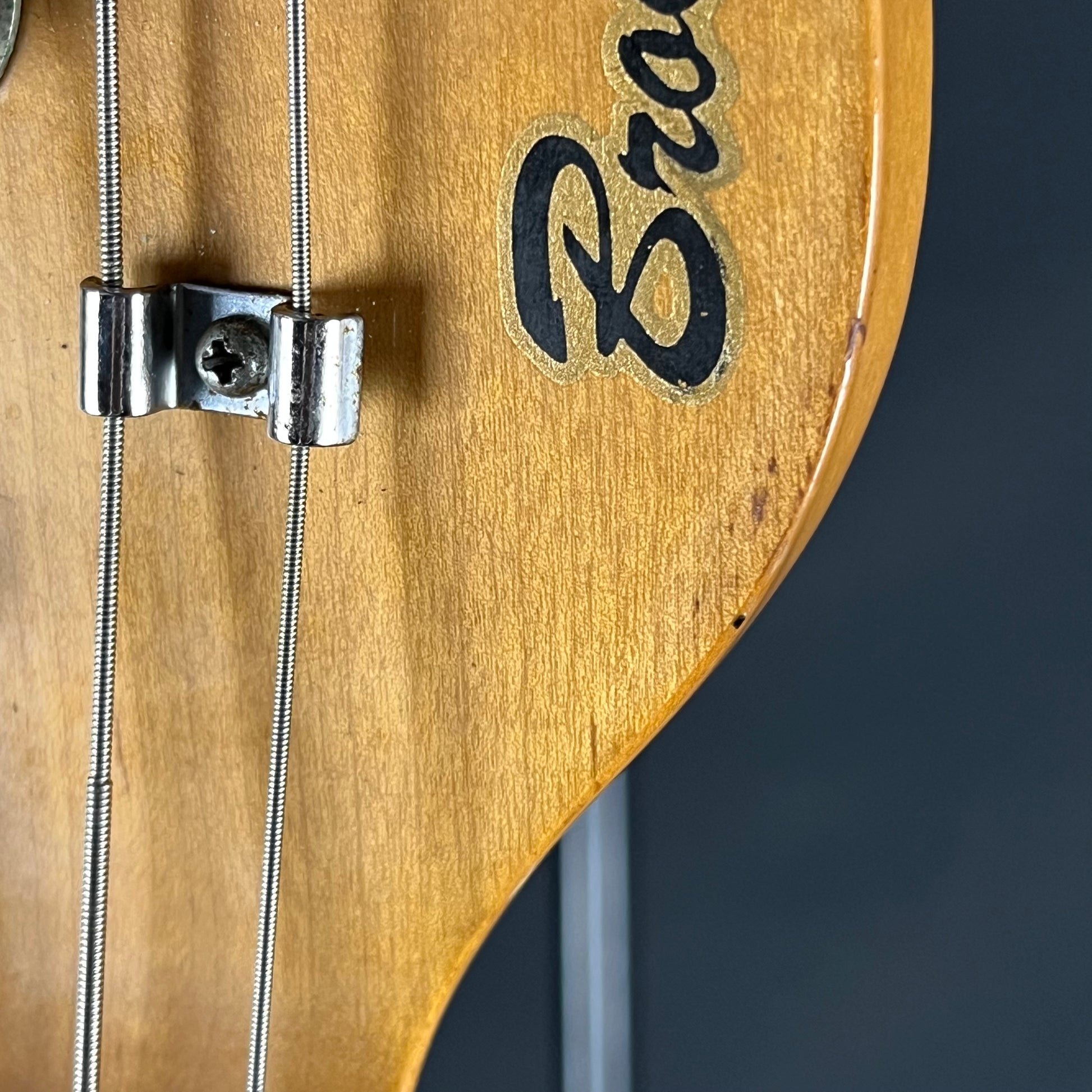 YAMAHA Japan Broad Bass 1000