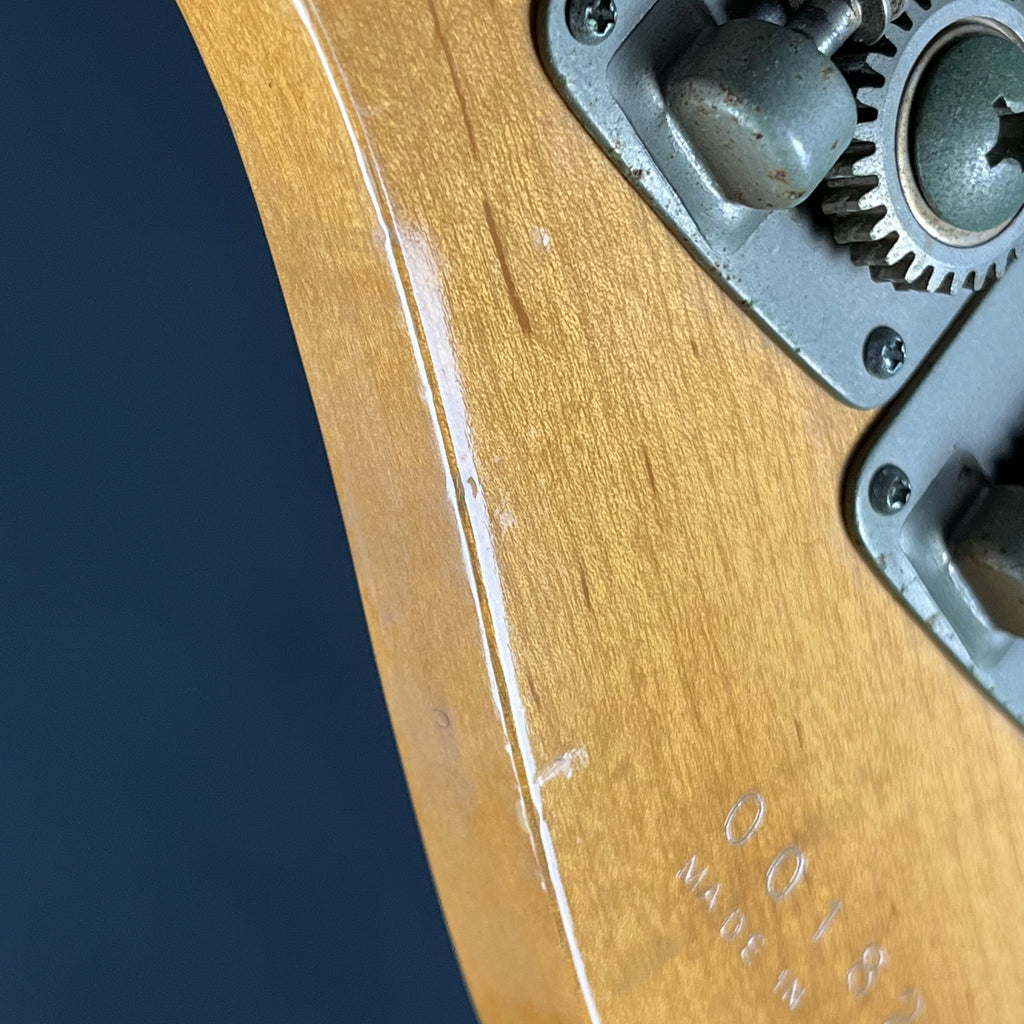 YAMAHA Japan Broad Bass 1000