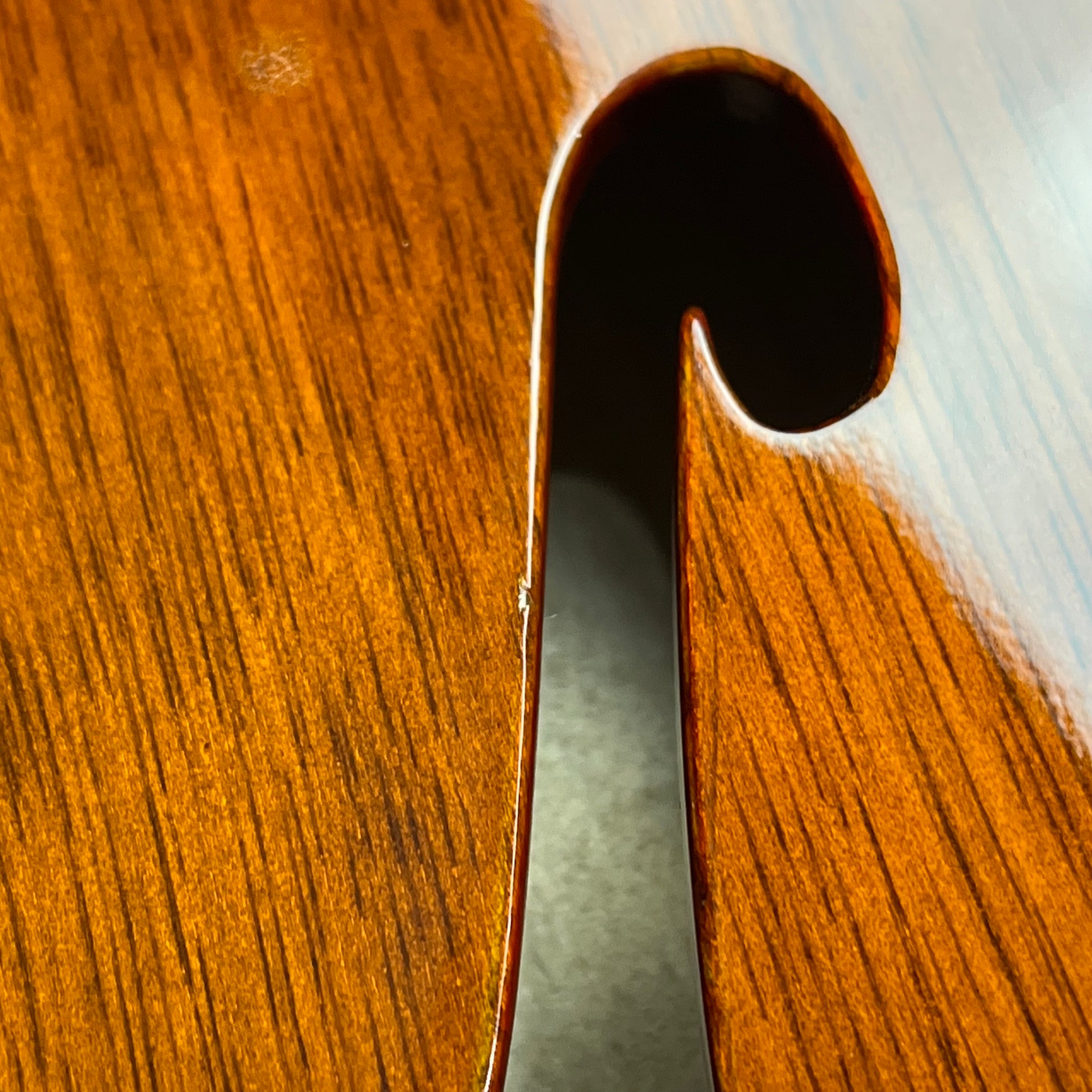 Squier Classic Vibe 60s Thinline Telecaster 2023