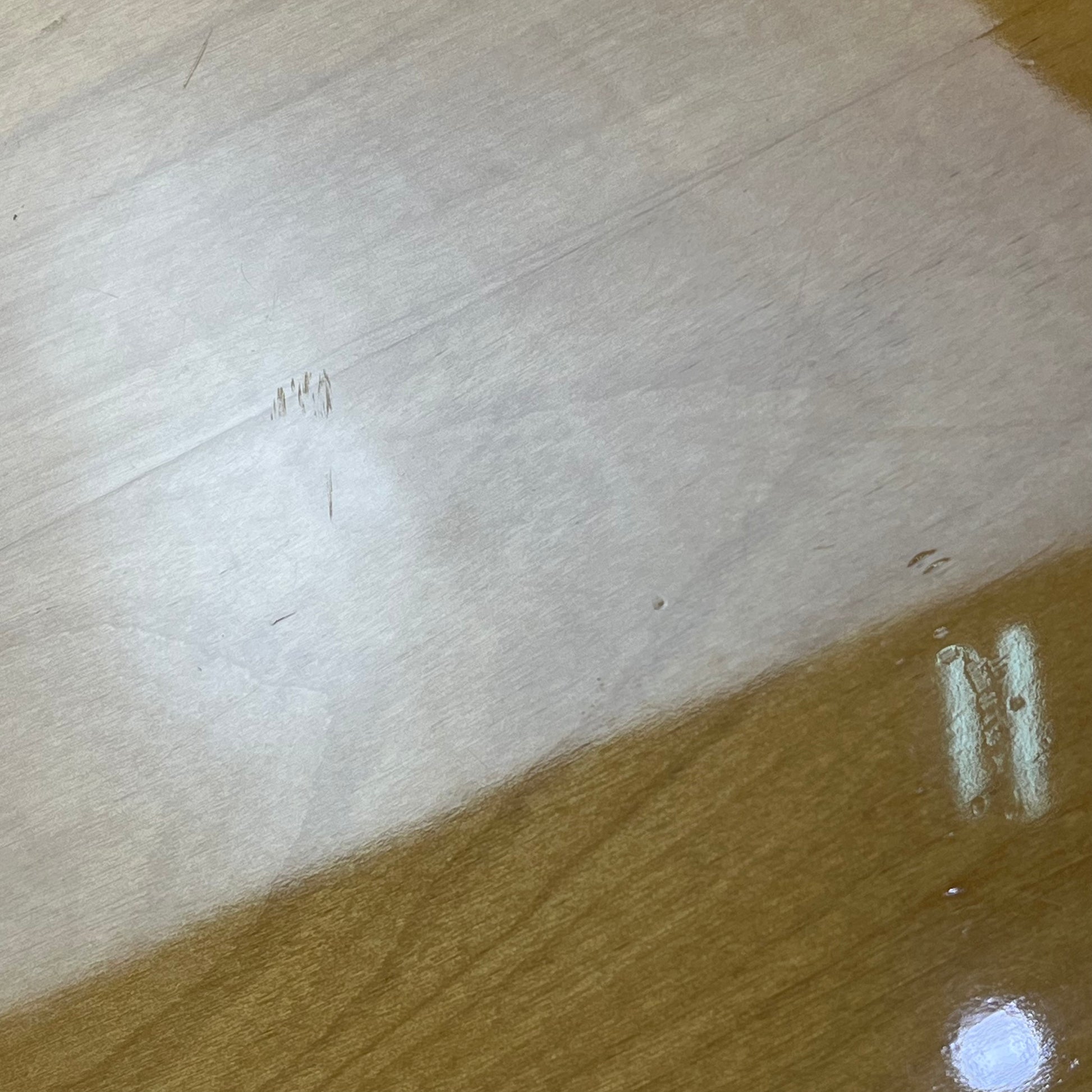 YAMAHA Japan Broad Bass 1000