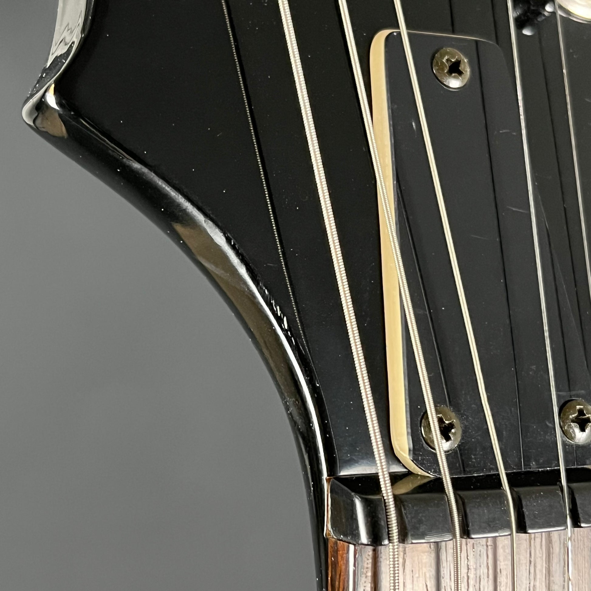 Aria Pro II PE-40
