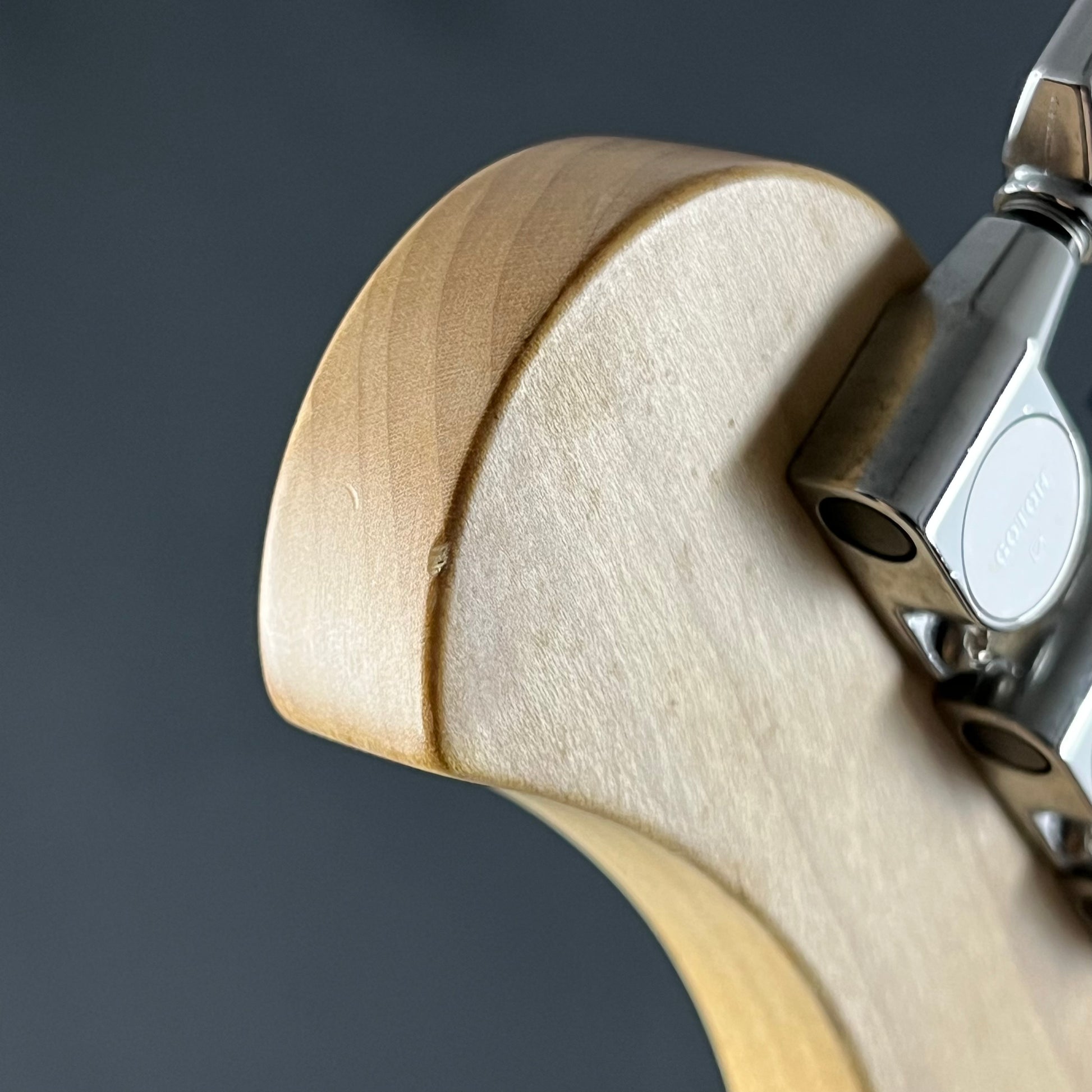 Bacchus Japan G-STUDIO FM CUSTOM