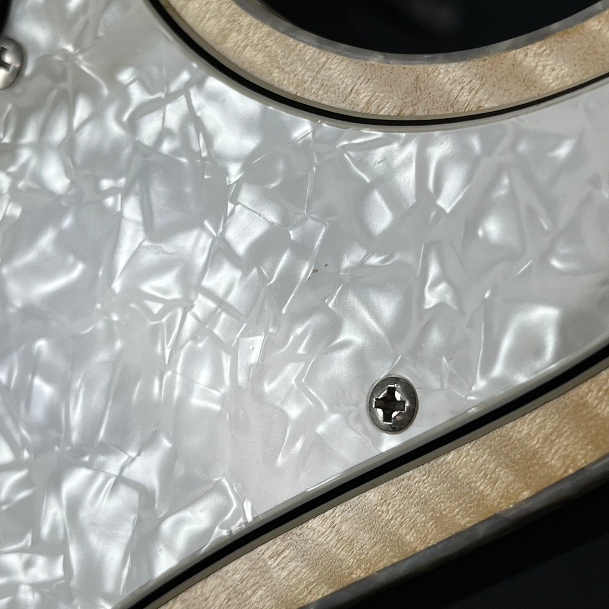 Bacchus Japan G-STUDIO FM CUSTOM